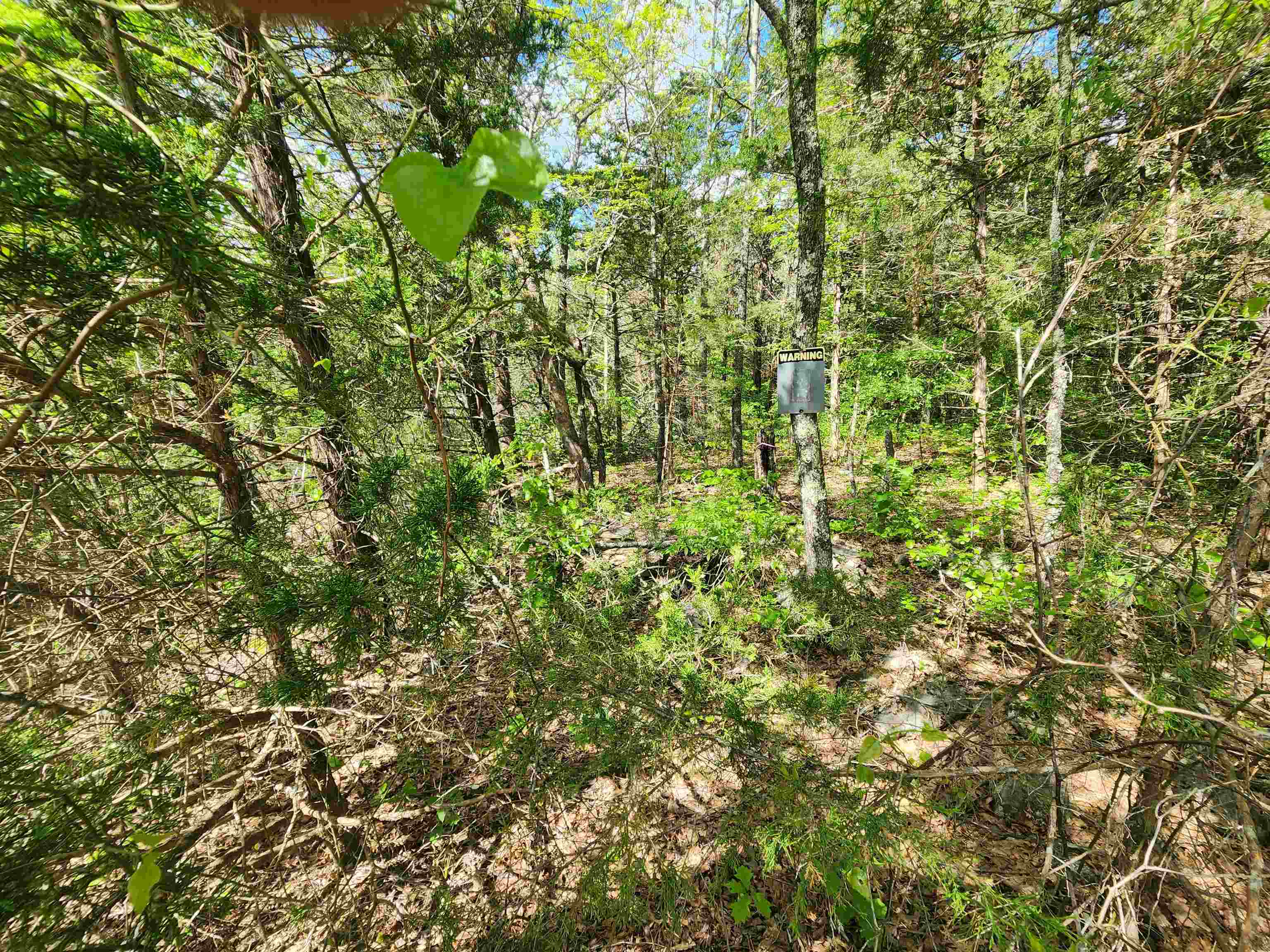 Wolf Hollow Unit 3 - Land