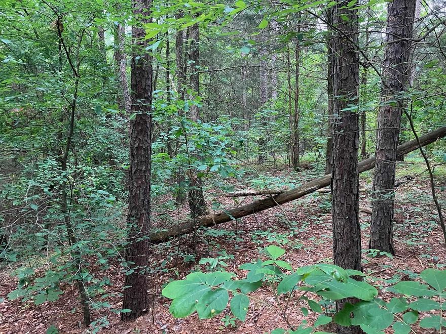 Rare Opportunity in Cleveland, AR.  Three parcels making up 14 +\- rural acres with no restrictions and a deeded easement for access.  Has a septic system that has never been used, poured foundation ready for blocks, and a drilled water well.  Comprised of wooded and old pasture, great place to hunt, enjoy nature. Would be an ideal location for a cabin or home.