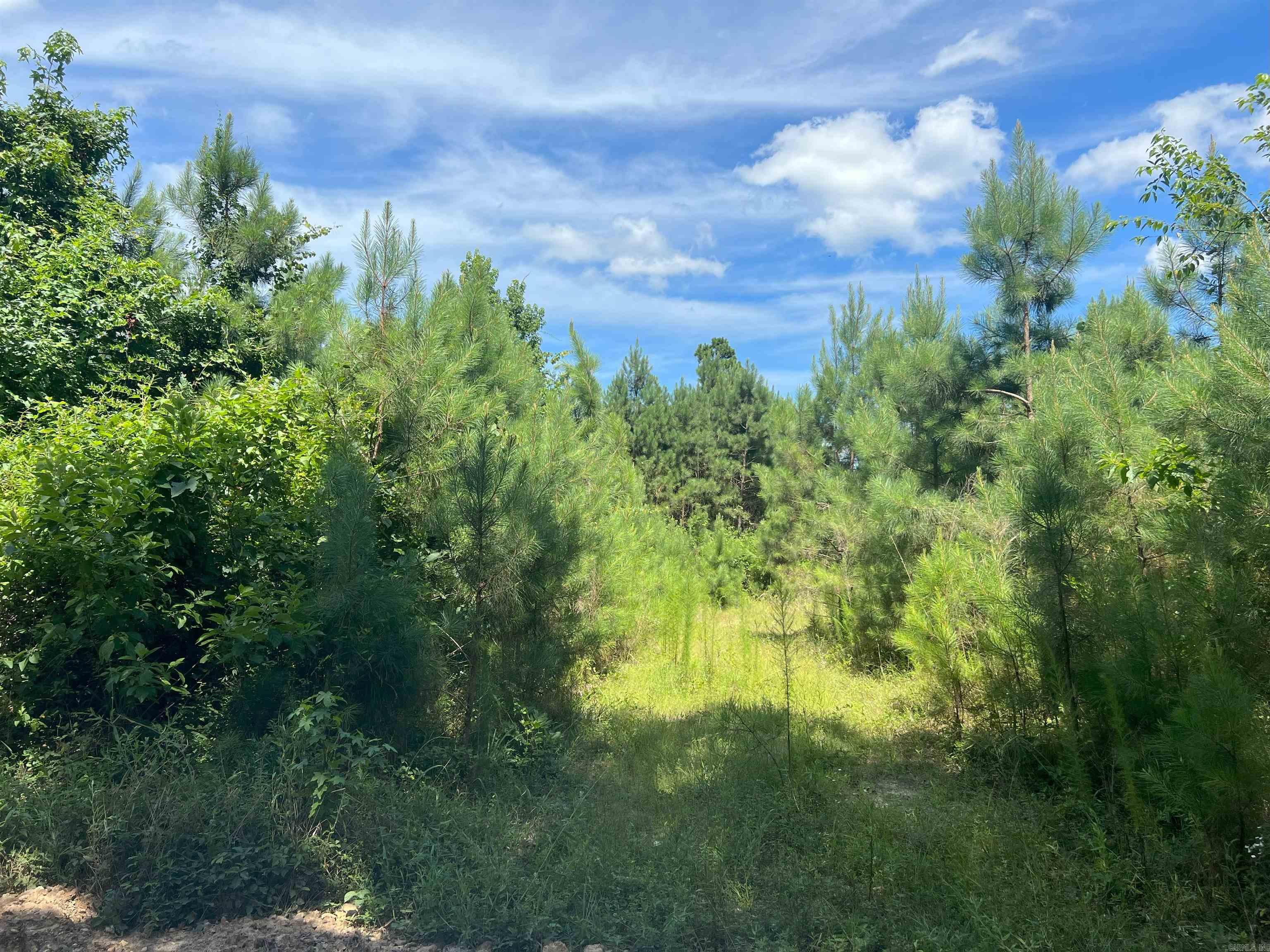 60+/- acre hunting/ recreational tract just 10 miles from fordyce and 8 miles from Bearden. Please call listing agent to schedule a showing.