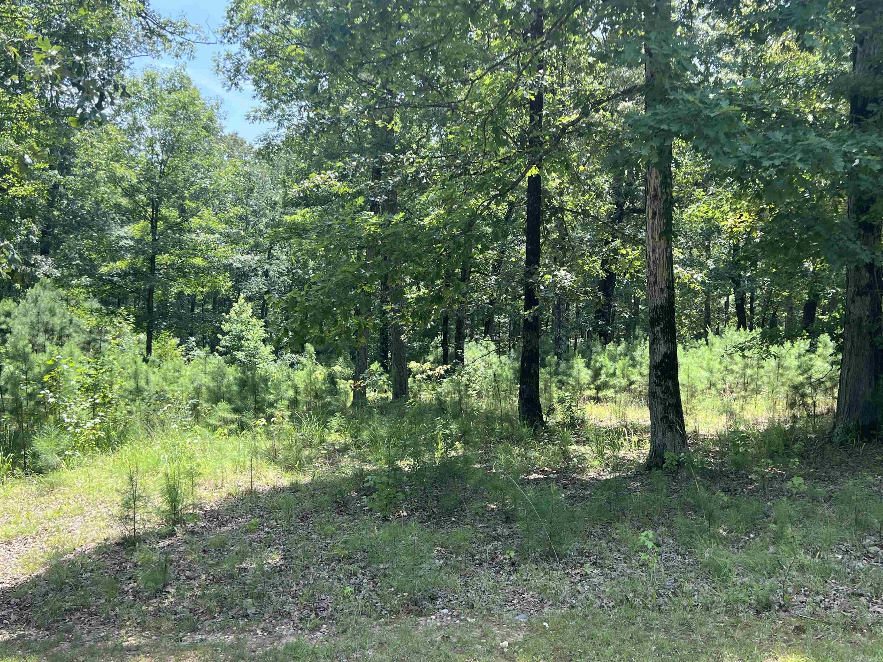 Stone Ridge Estates - Land