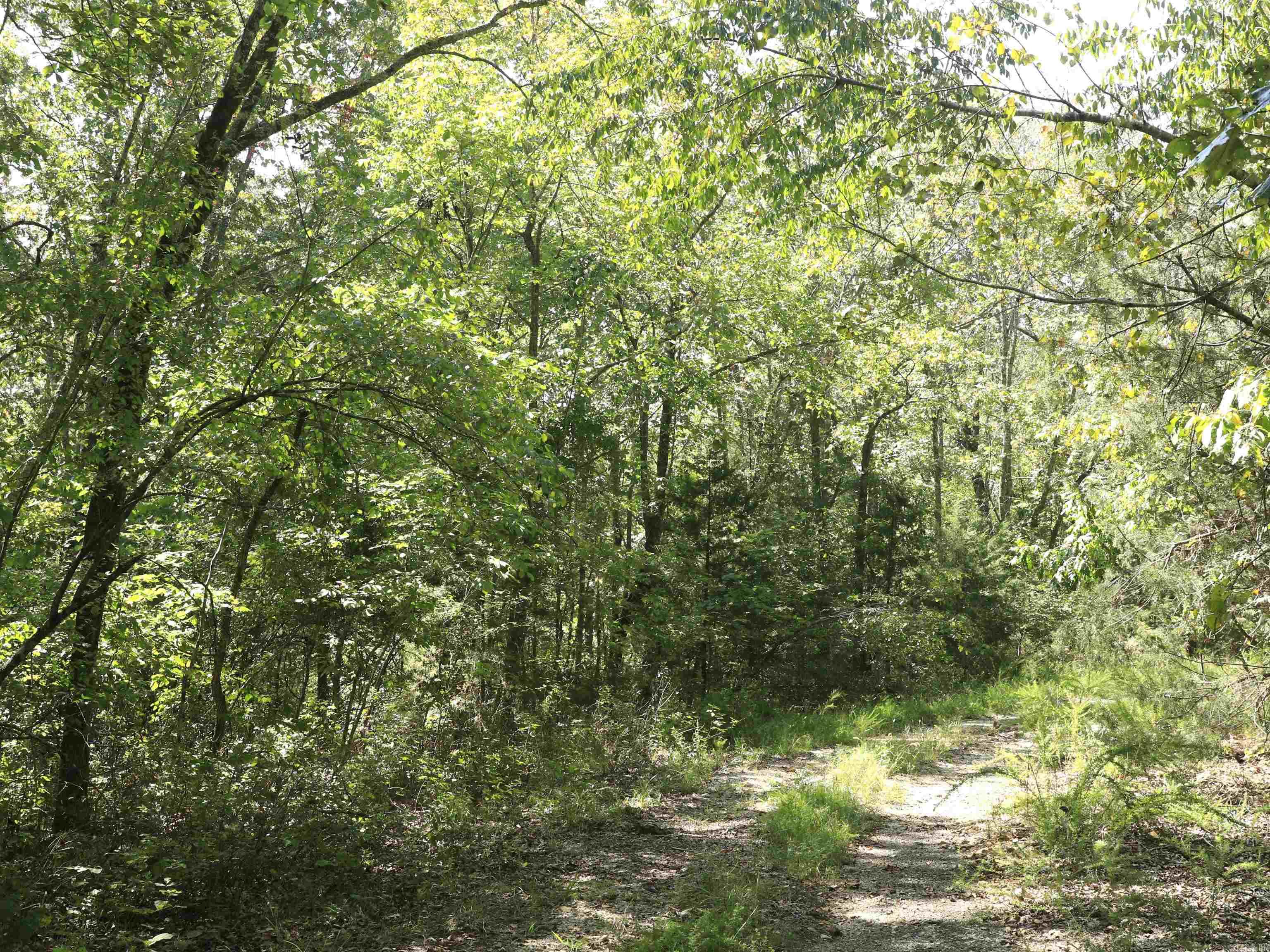 Sleepy Hollow - Land