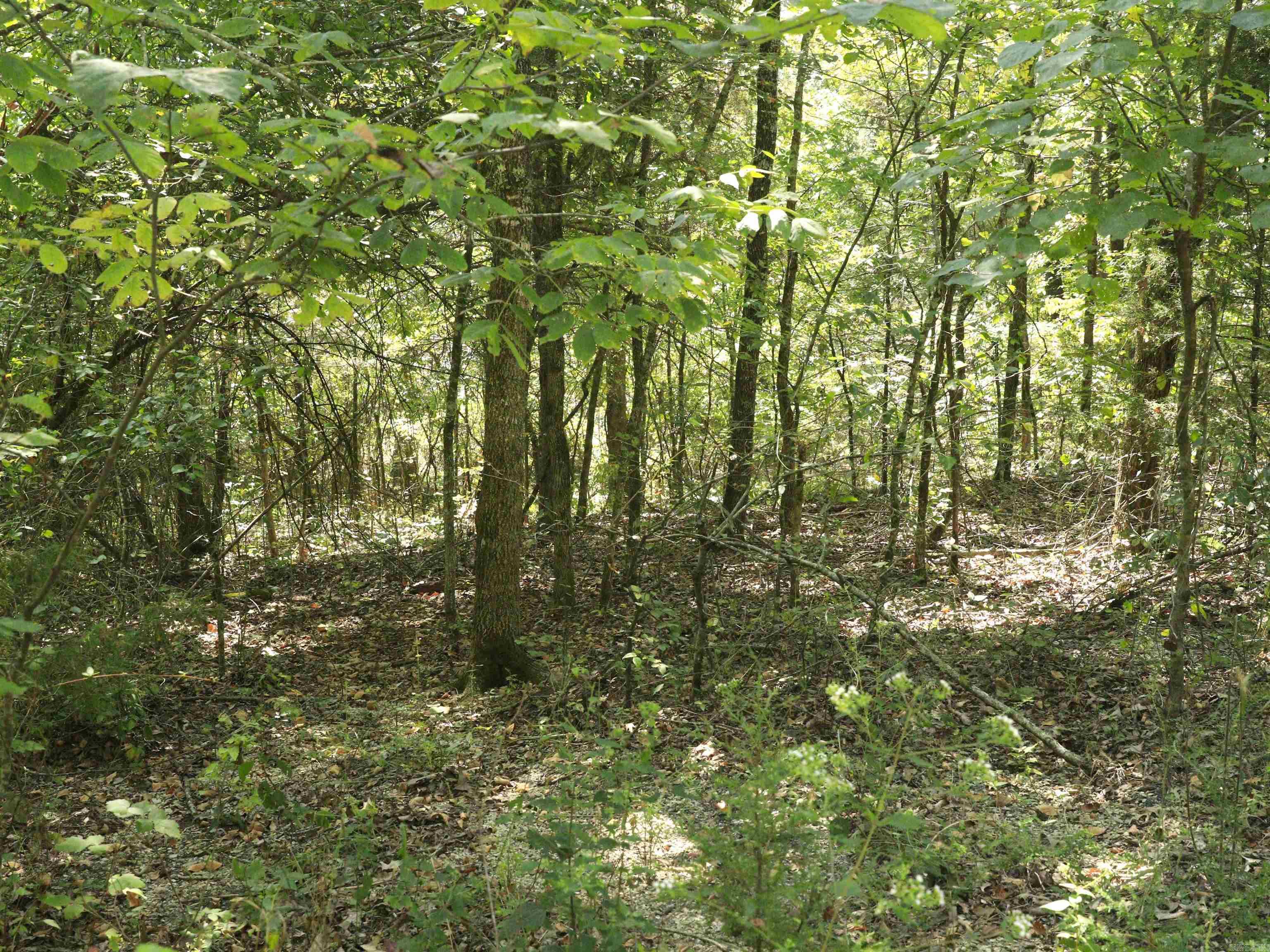 Sleepy Hollow - Land