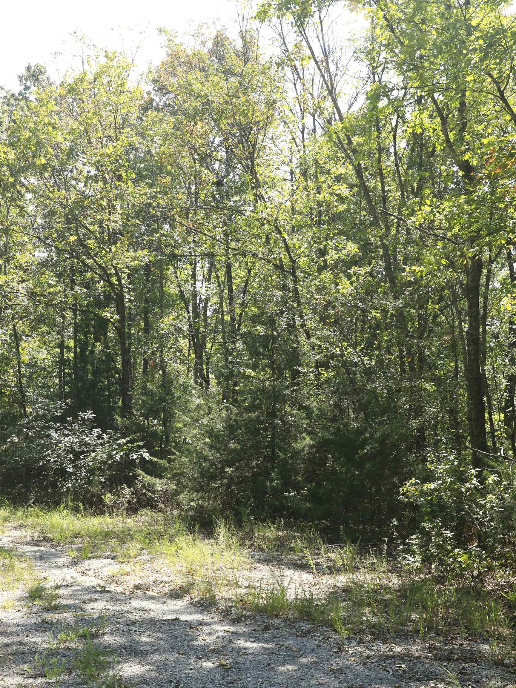 Sleepy Hollow - Land