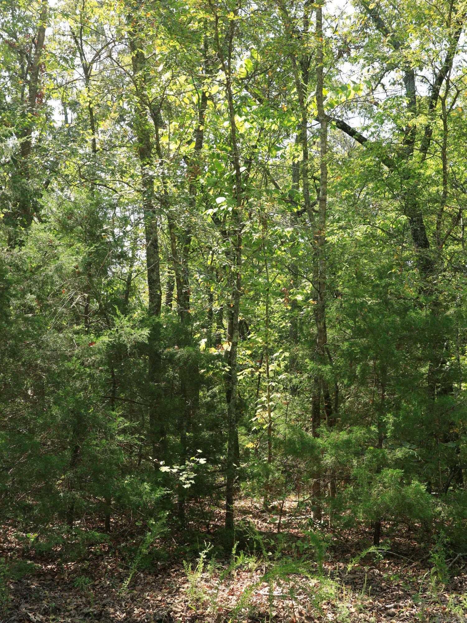 Sleepy Hollow - Land