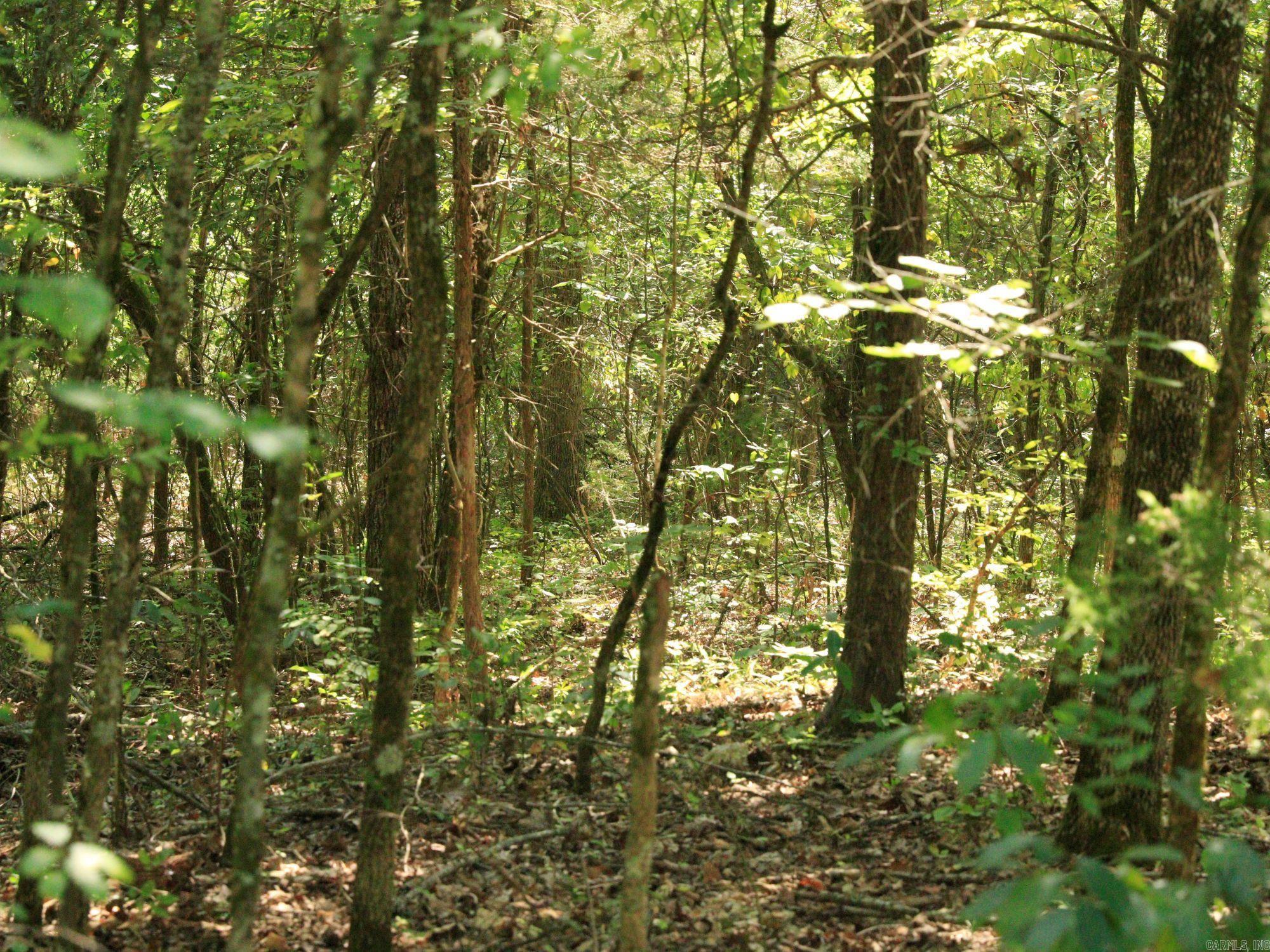 Build a new home on this almost half lot (.49 +/-) that is walking distance to Crown Lake and the public dock. You will be only minutes from the 2 other lakes and local amenities. Call or text today for more information. No owner financing available. Mobile homes not allowed.