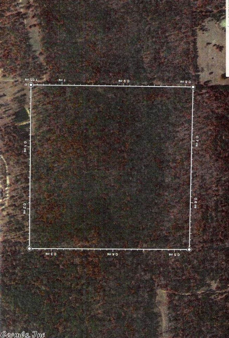 This is 40 +/- acres of timber in Evening Shade. The land has an easement going to it. This would make a great piece of hunting property. There are plenty of deer and turkey in the Ozarks and this property is right in the middle of them. Give us a call to set up an appointment.