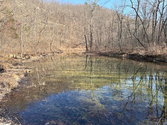 KENNEDY ROAD, LESLIE, AR 72645 - Image 6c9bc3ed9ec01f7baa4b583c38ca2d6a/1336161375