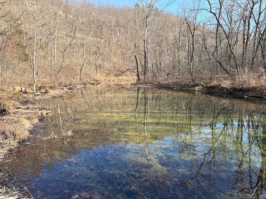 Situated deep in the heart of Stone County, Arkansas, this exceptional Ozark tract is a true haven for the dedicated hunter and outdoorsman. Accessed by a solid deeded easement, it offers rare seclusion far from roads and development, creating a private escape defined by quiet hardwood ridges, clear creeks, and untamed wilderness. This is more than land, it’s a place to unplug and live the outdoor life. Mature white and red oaks, hickory, and mixed hardwoods cover the property, producing strong mast, excellent wildlife habitat, and valuable marketable timber. Over 3 miles of wide, well-maintained trails provide easy access by UTV, ATV, Jeep, or truck while preserving the land’s wild character. Wildlife is abundant, with deer, turkey, bear, hogs, and small game throughout. Tick Creek and Jimmy’s Creek converge on the property to form the headwaters of Meadow Creek, offering year-round water, gravel-bottomed pools, and natural springs. Rolling ridges, saddles, wooded flats, ravines, bluffs, food plot clearings, and unique rock features, including a natural tunnel, create endless hunting opportunities.