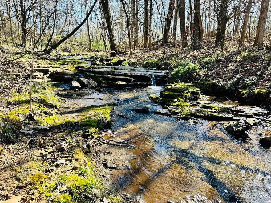 12 Acre Rural Hunting Property with Creek and Electricity This 12 acres is nestled in rural North Central Arkansas, on a paved county road. Featuring a serene creek and electricity on site, it's ideal for hunting and recreation enthusiasts. Explore the natural beauty, abundant wildlife, and tranquil surroundings. This property is also perfect for building your dream home, cabin, or getaway retreat! Don't miss the opportunity to call this land your own! Listed for only $45,000!