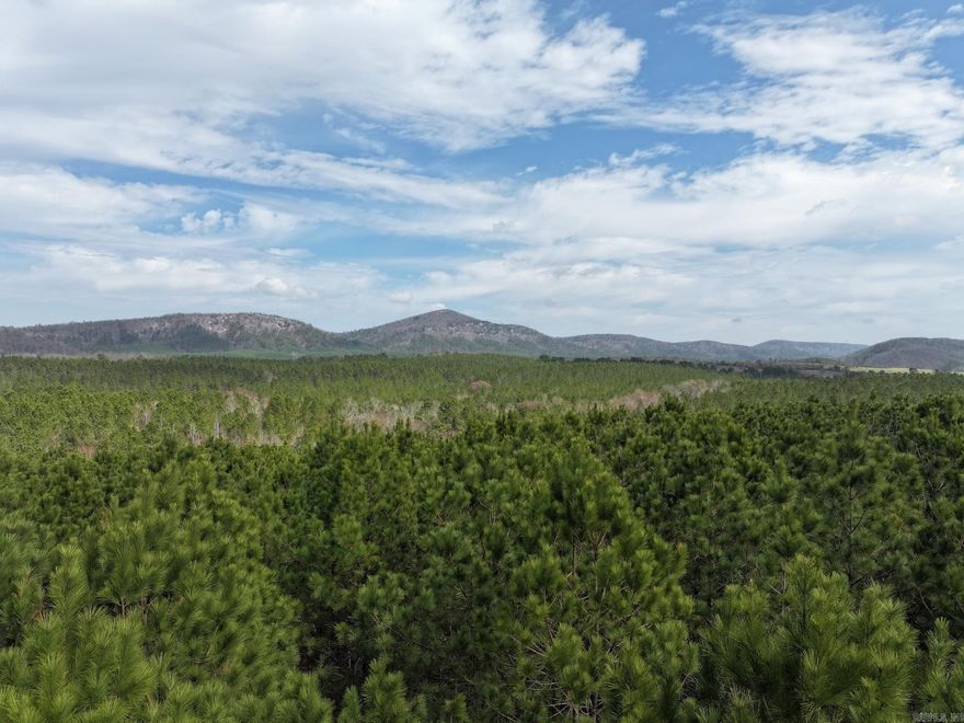 81.12+/- acres of raw, wooded land ideally located in the Langley, AR area — just approximately 5 miles from the popular Albert Pike Recreation Area. If location and access to the outdoors are at the top of your list, this property delivers.  Surrounded by natural beauty and situated near some of southwest Arkansas’ most sought-after outdoor destinations, including Little Missouri Falls and Shady Lake Recreation Area, this acreage offers exceptional opportunities for hunting, hiking, camping, and year-round recreation. The property is also approximately 6± miles to 70 Landing at Lake Greeson.  The property is heavily wooded, providing privacy and a natural habitat for wildlife, making it especially appealing for hunters and avid outdoorsmen. Whether you’re looking to create a private hunting retreat, recreational getaway, or long-term land investment, this tract offers a prime location in the heart of Arkansas’ outdoor playground.