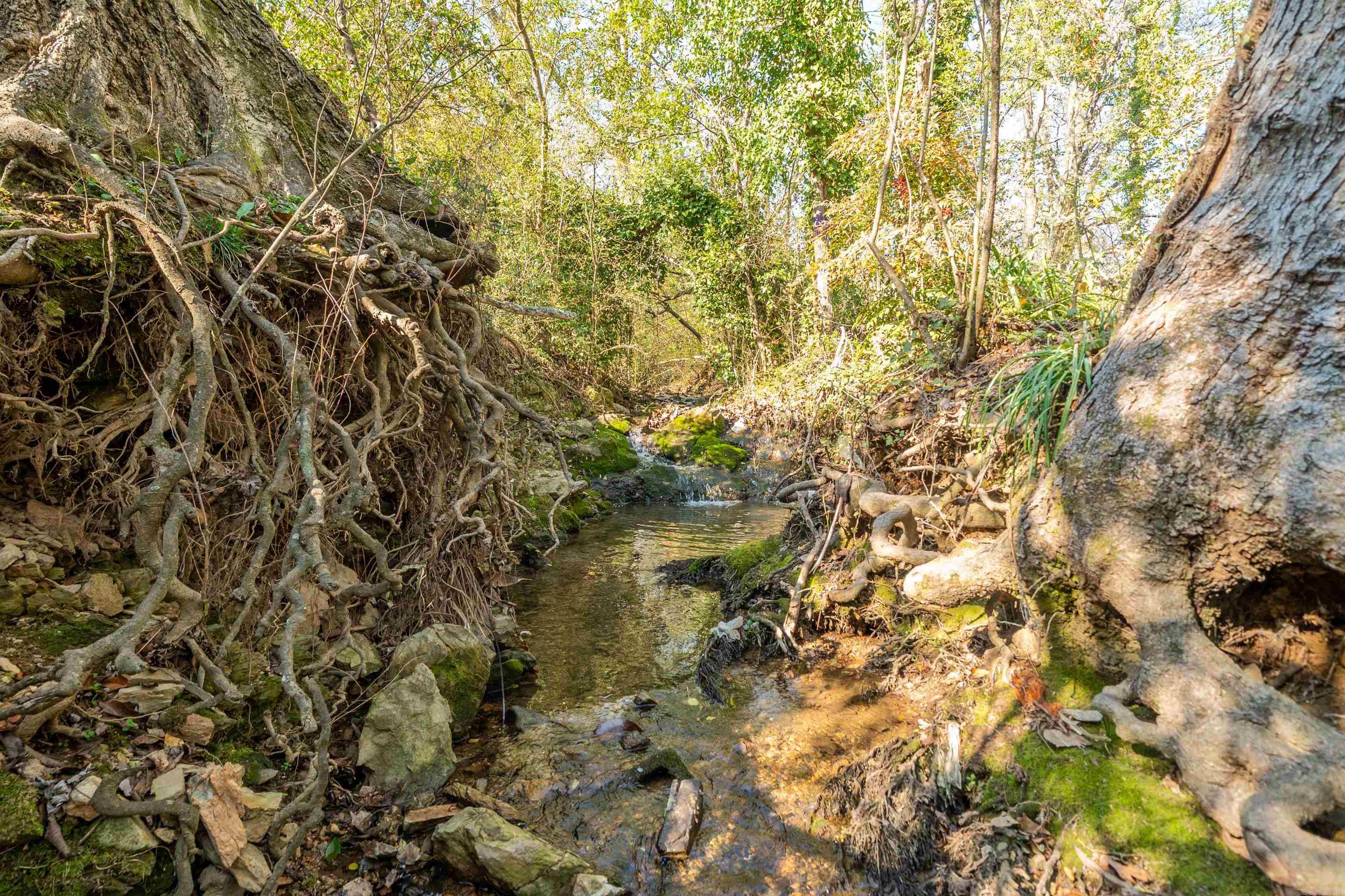 Not in Subdivision - Residential Income