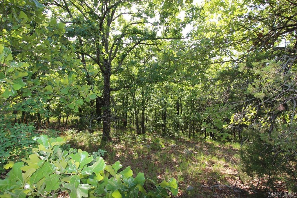7 LAKES RANCH ESTATES PHASE 1 - Land