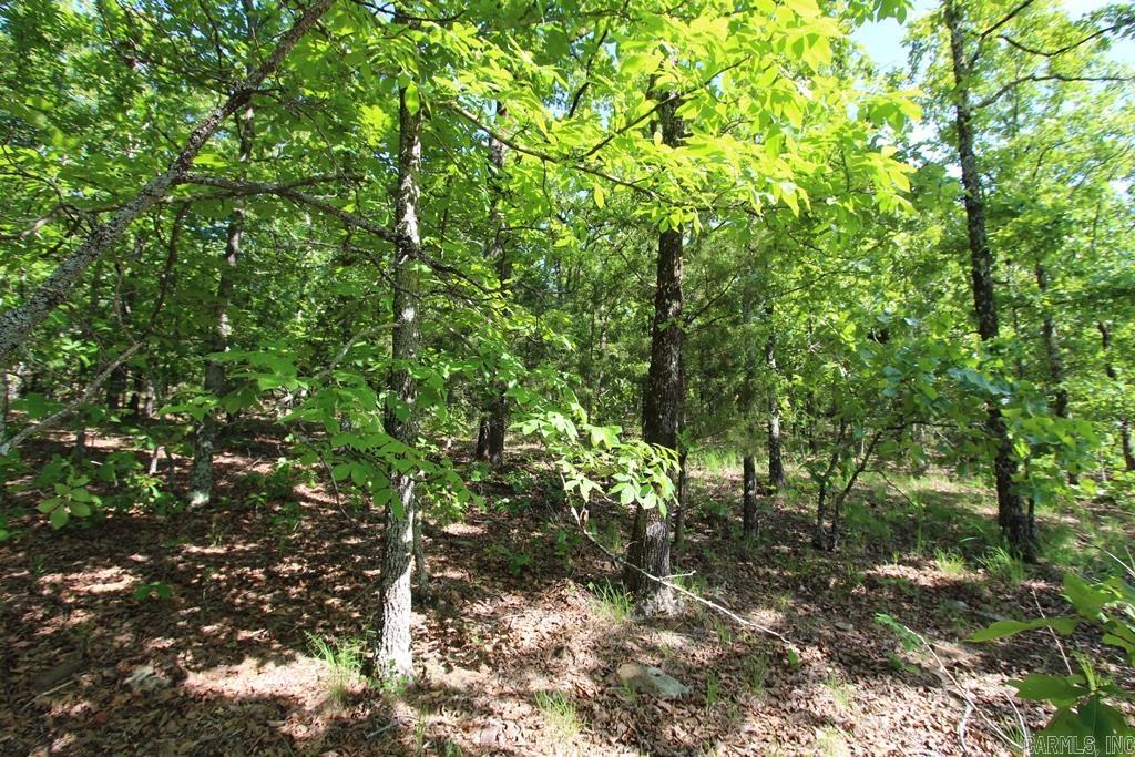 7 LAKES RANCH ESTATES PHASE 1 - Land