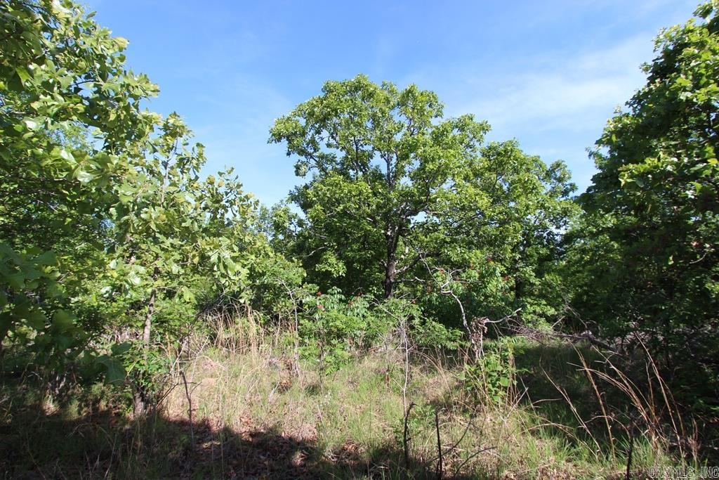 7 LAKES RANCH ESTATES PHASE 1 - Land