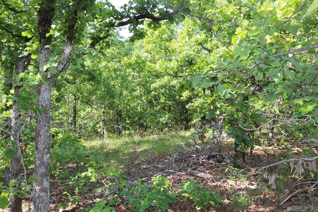 7 LAKES RANCH ESTATES PHASE 1 - Land