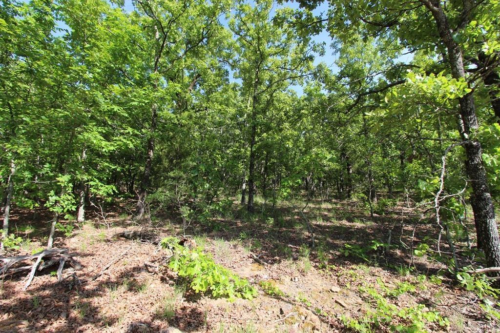 7 LAKES RANCH ESTATES PHASE 1 - Land