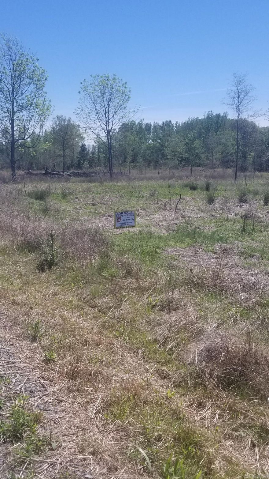 Enjoy the peaceful great views of the countryside just outside of the city only minutes away from Beebe, Cabot, Vilonia and Searcy.  A beautiful cleared and level 3.03+/- acre lot build ready min sq 1700sq ft.