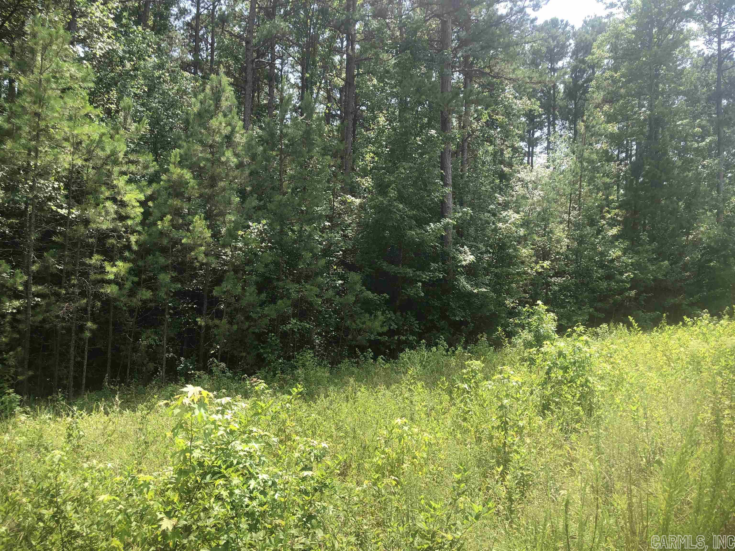 Not in Subdivision - Land