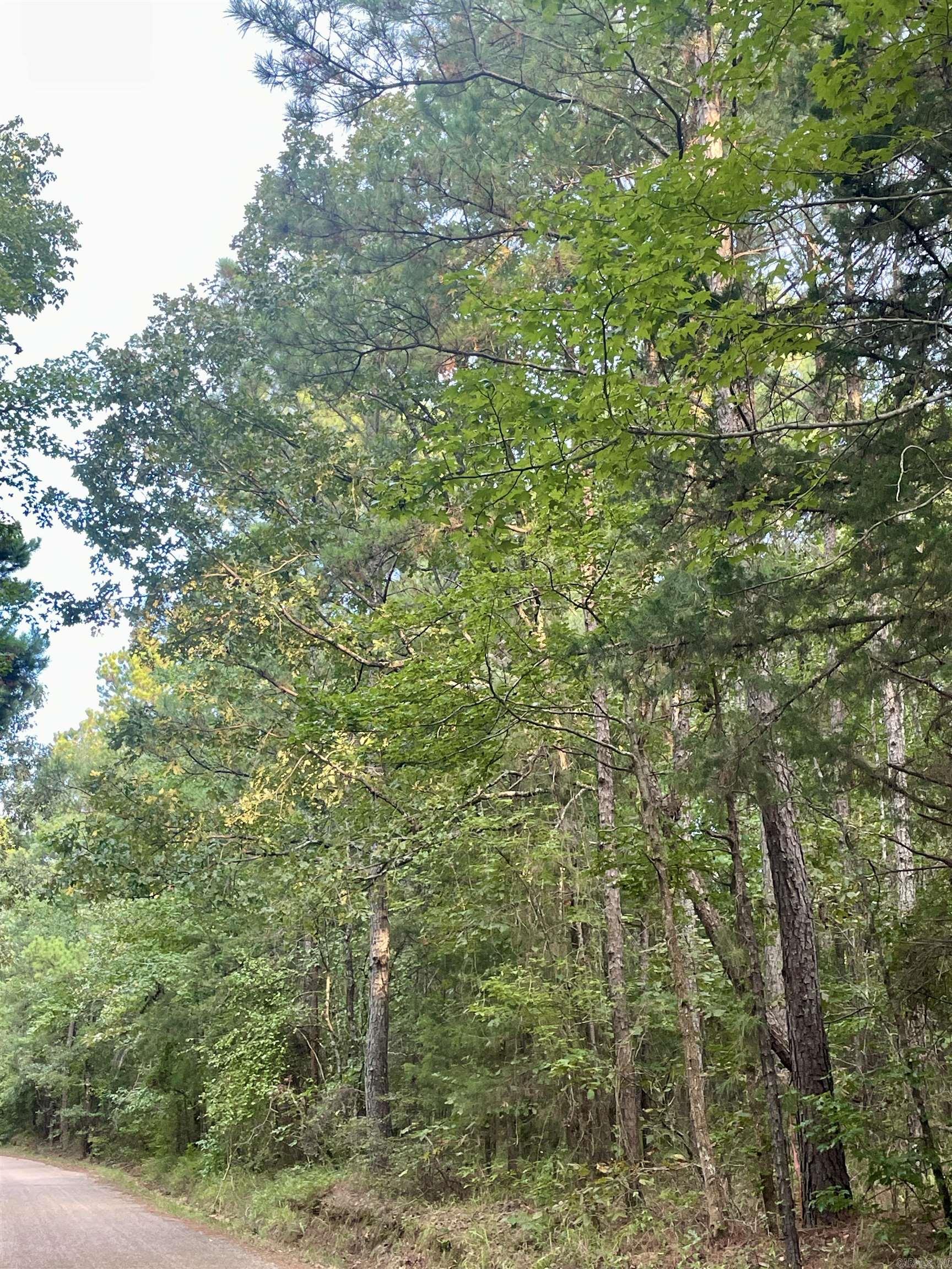 Discover this beautiful 12-acre parcel, perfectly situated just south of Brightstar on Miller County 32. This serene tract is densely populated with mature timber, offering a picturesque setting for building your dream home, a cozy cabin retreat, or as an investment property. This versatile property provides endless possibilities, whether you're looking to create a private getaway surrounded by nature or seeking a solid investment. The abundant timber also adds to the property's value and appeal. Take advantage of this unique opportunity to own a piece of land with so much potential. Contact me today!