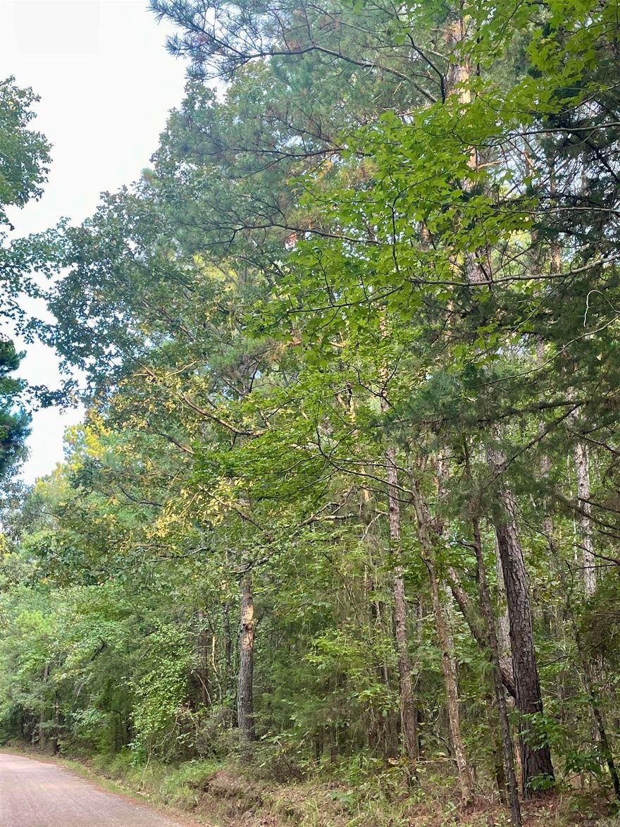 Discover this beautiful 12-acre parcel, perfectly situated just south of Brightstar on Miller County 32. This serene tract is densely populated with mature timber, offering a picturesque setting for building your dream home, a cozy cabin retreat, or as an investment property. This versatile property provides endless possibilities, whether you're looking to create a private getaway surrounded by nature or seeking a solid investment. The abundant timber also adds to the property's value and appeal. Take advantage of this unique opportunity to own a piece of land with so much potential. Contact me today!