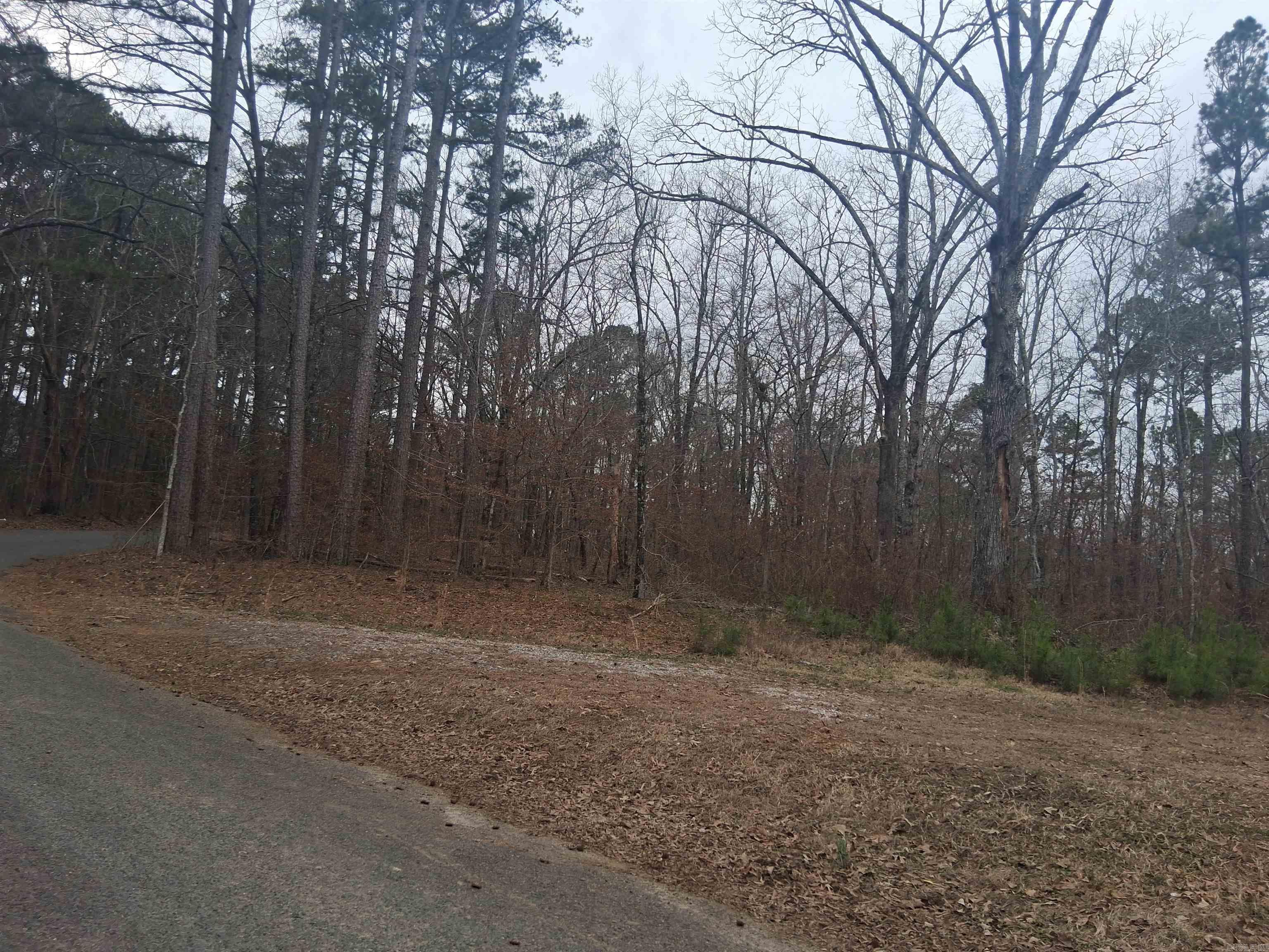 WOODLAND SHORES - Land
