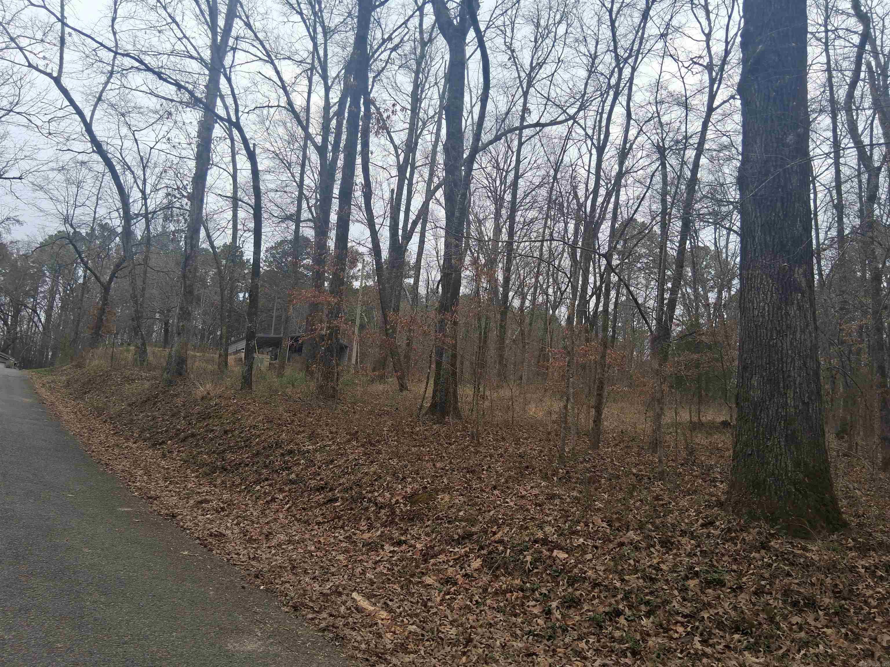 WOODLAND SHORES - Land