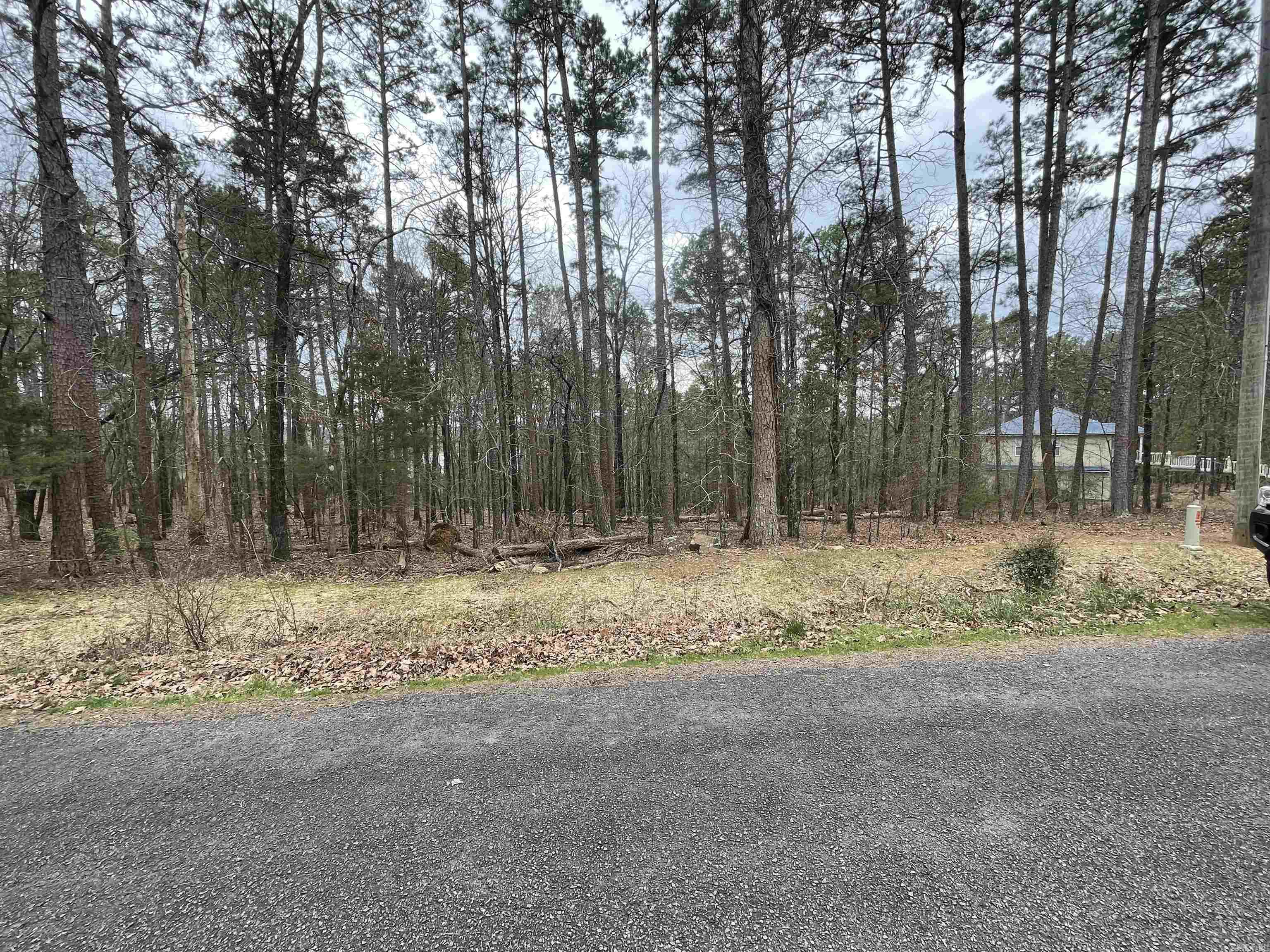 Nice neighborhood to build a lake house or a full time home. Platted road around the corner off of Valhalla ends at the Corp property for walking lake access (See plat). No mobile homes allowed. See Mystic Isle Covenants. Only about 2.4 miles to Devil's Fork Boat Ramp.