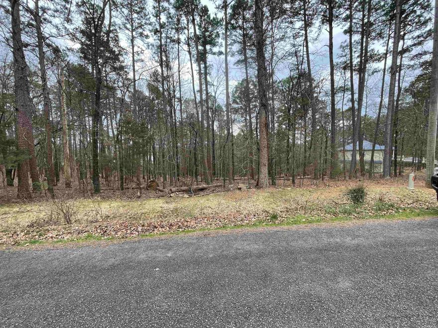 Nice neighborhood to build a lake house or a full time home. Platted road around the corner off of Valhalla ends at the Corp property for walking lake access (See plat).   No mobile homes allowed. See Mystic Isle Covenants. Only about 2.4 miles to Devil's Fork Boat Ramp.