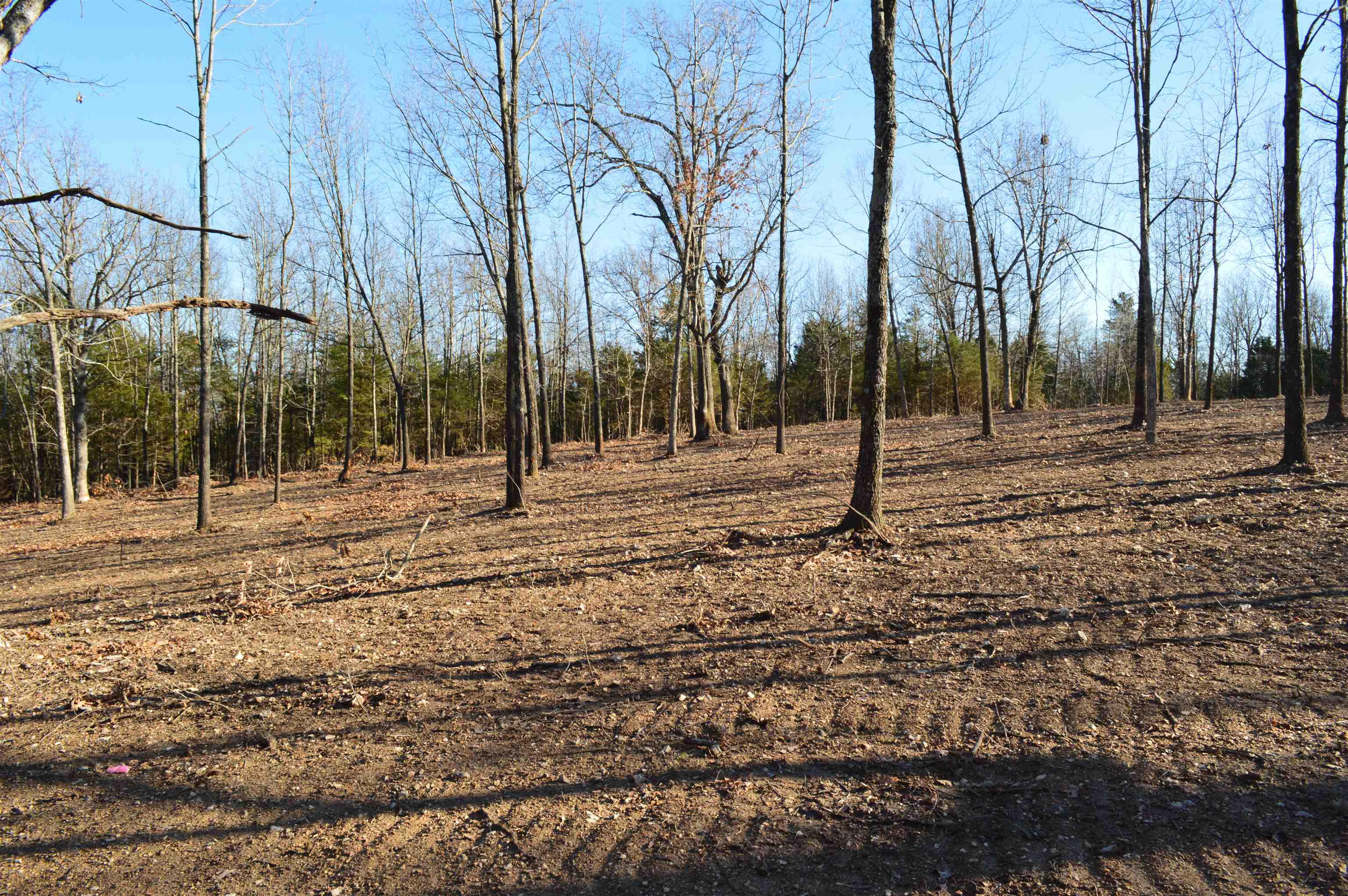 Country HIlls Estates - Land