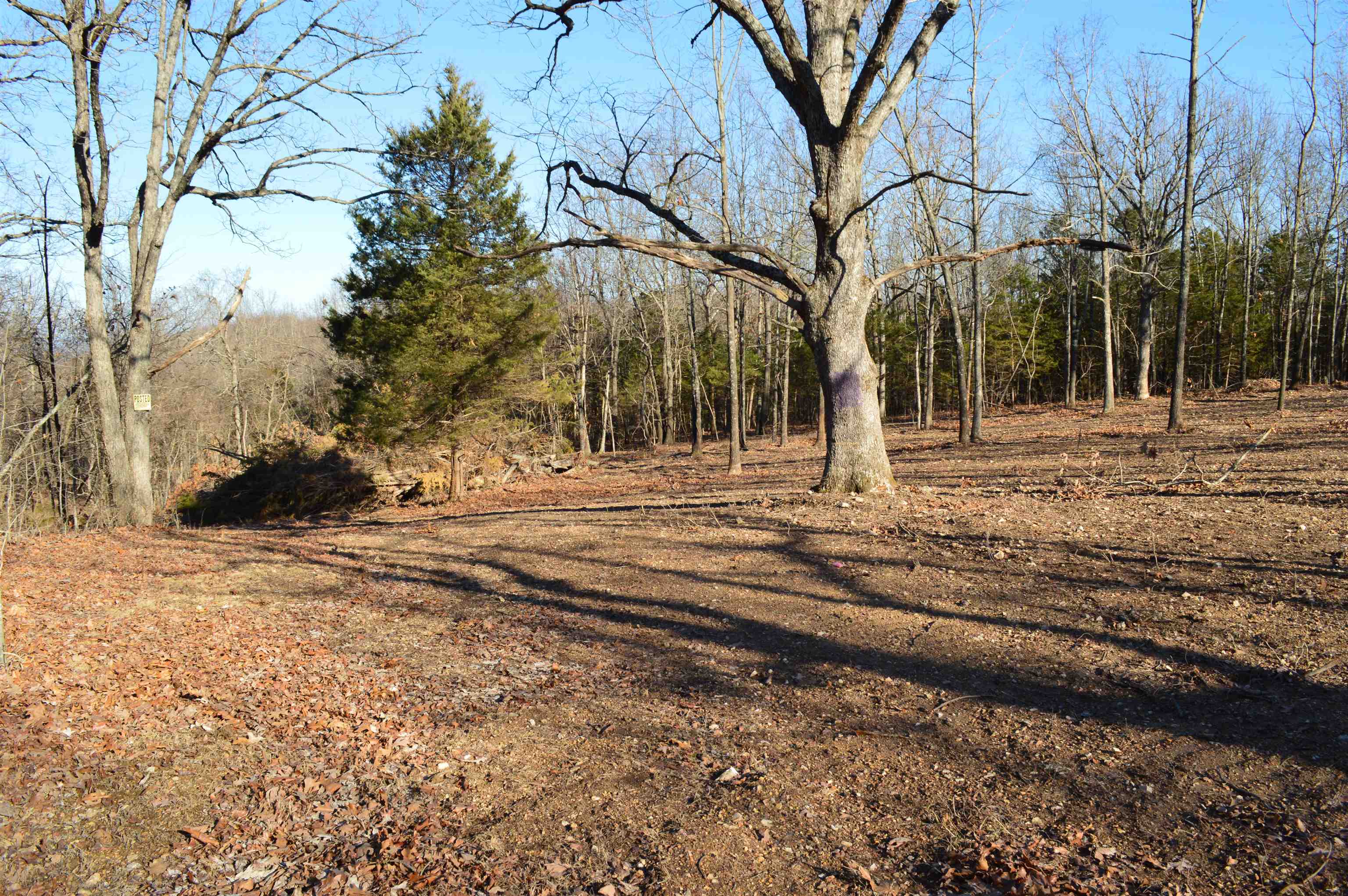 Country HIlls Estates - Land