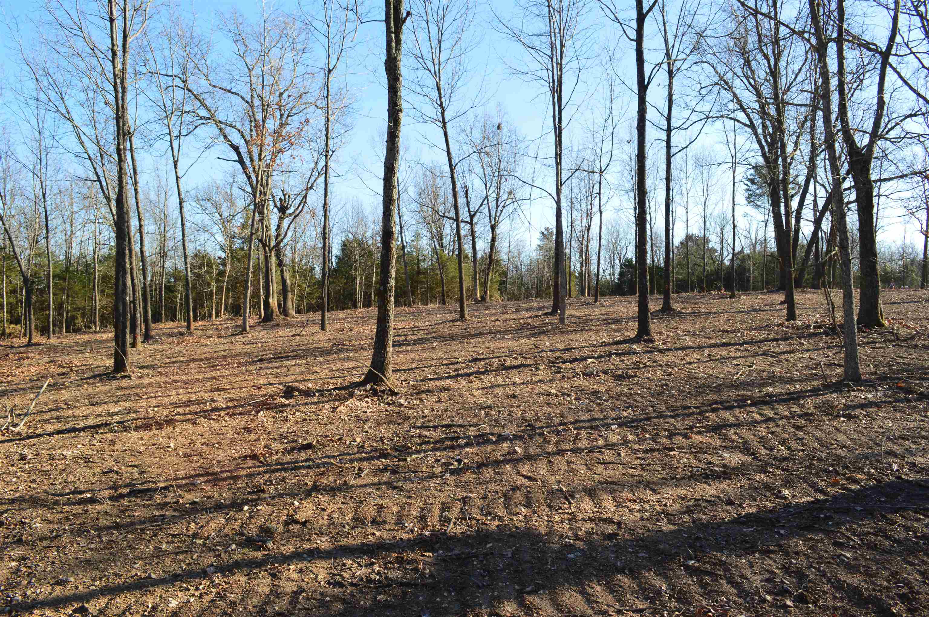 Country HIlls Estates - Land