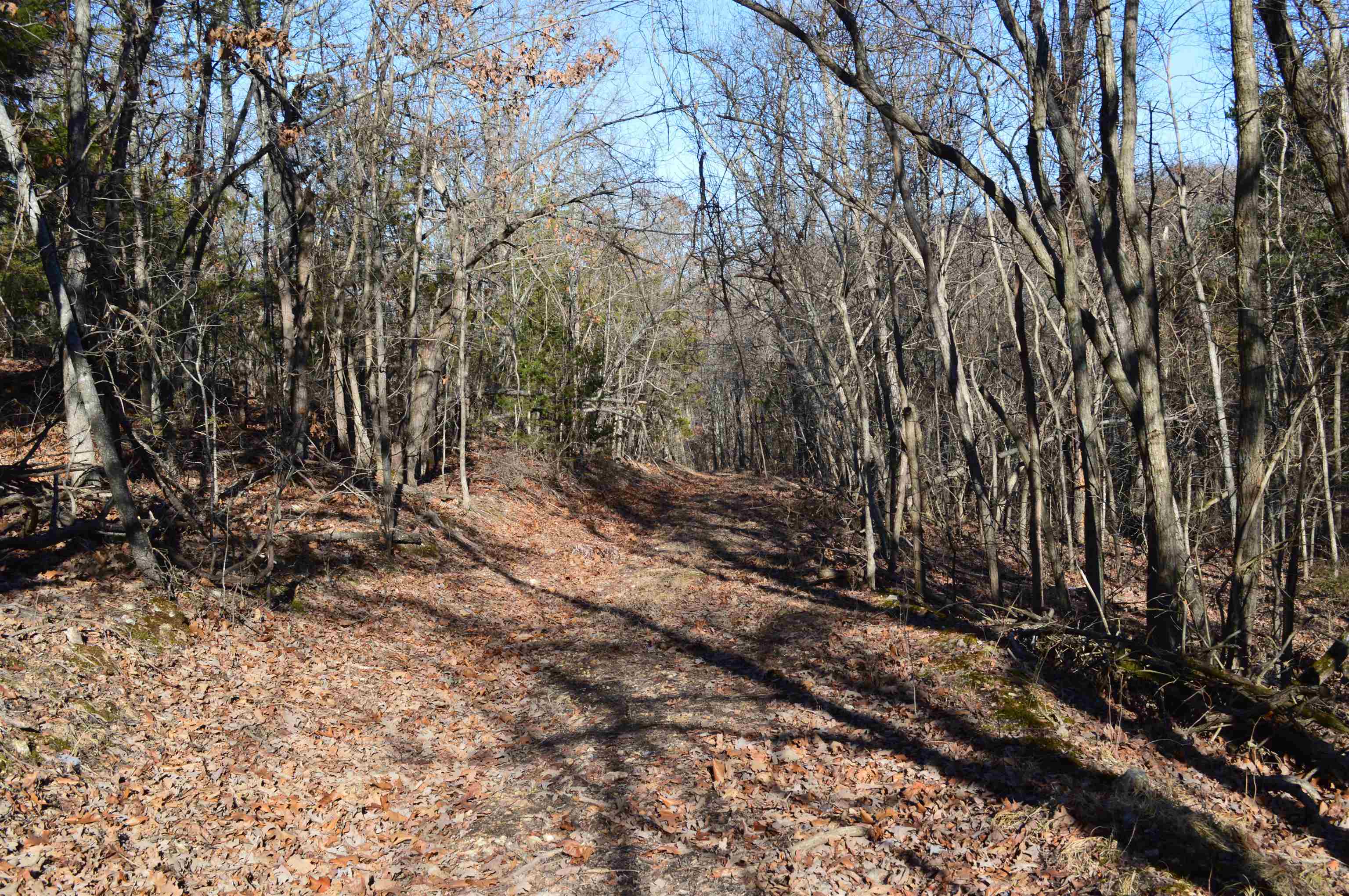 Country HIlls Estates - Land