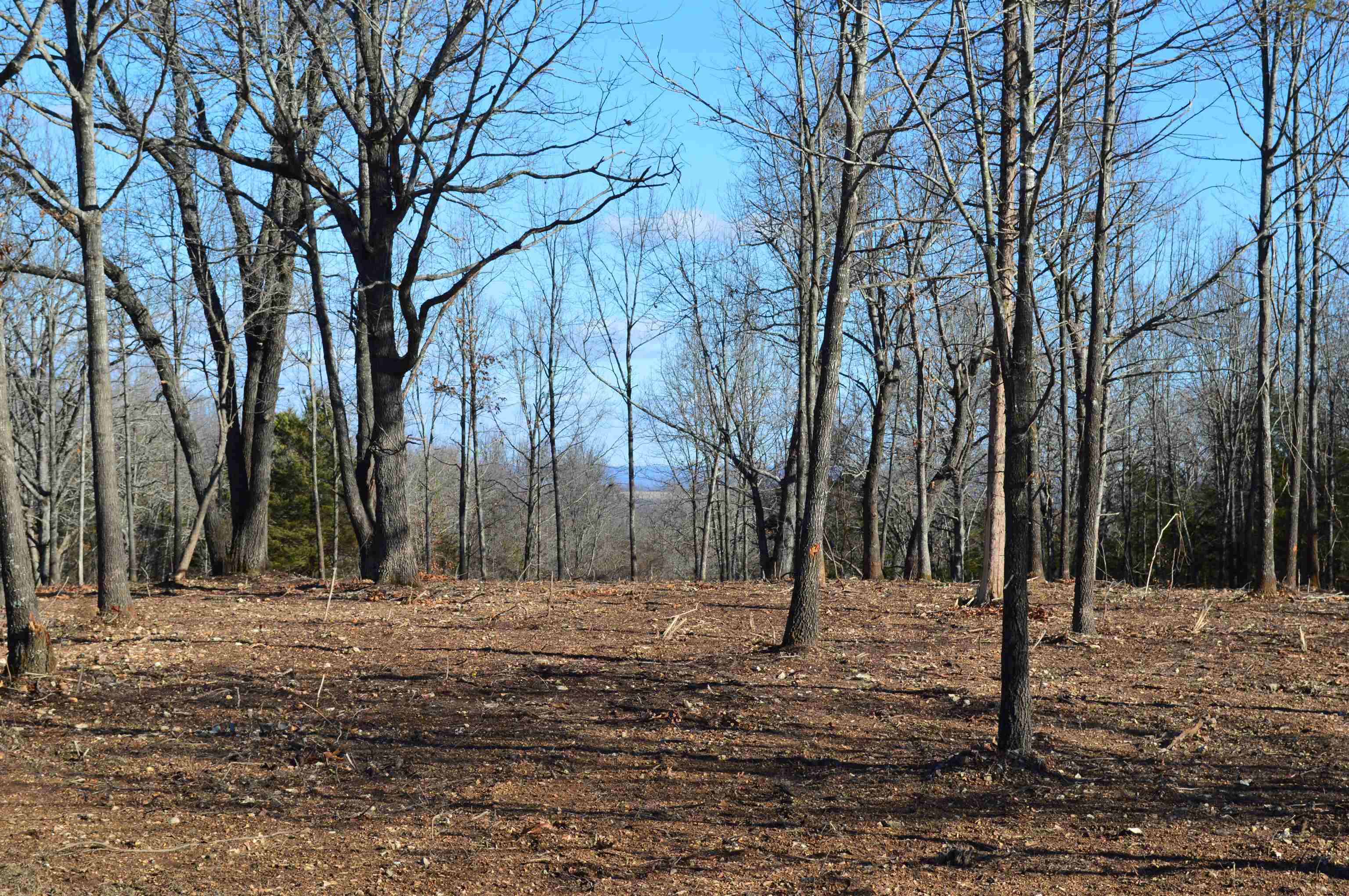 Country HIlls Estates - Land