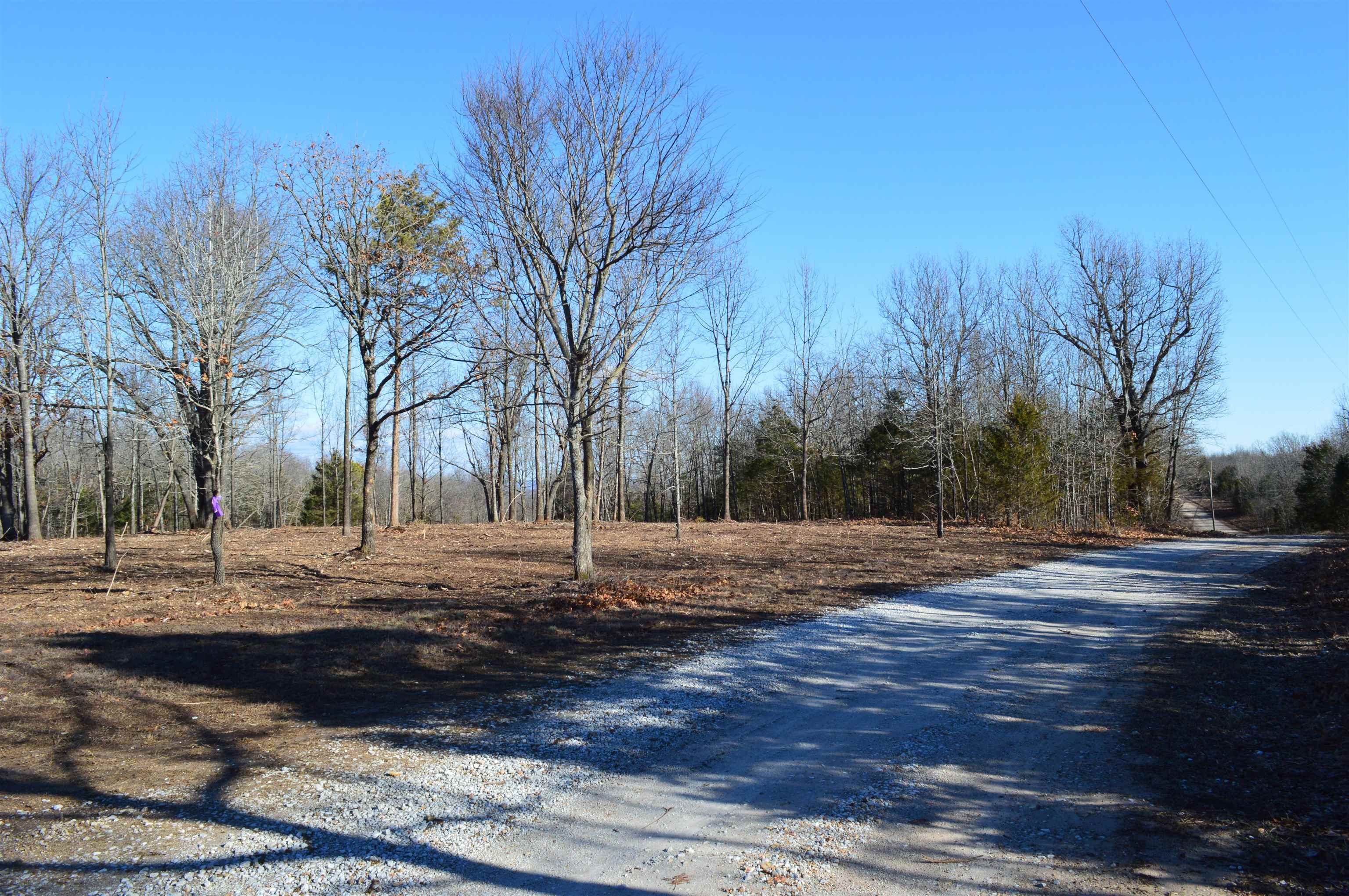 Country HIlls Estates - Land