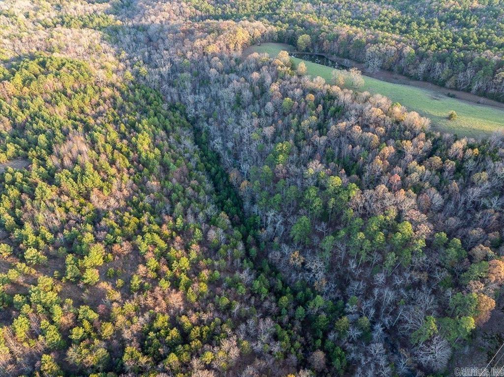 Nice property with a mix of Woods and Pasture. This Property has some great Ouachita Mountain views with some nice house sites. This property has an easement along the south property line. The National Forest is just a few miles away and accessible by atv/utv. Lots of options with this Property!