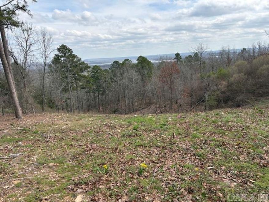 Beautiful buildable view lot with water and gas for houses with minimum 1800 sq. ft heated and cooled.  Quick access to I-40 with new by pass in Mayflower.  No Seller Property Disclosure