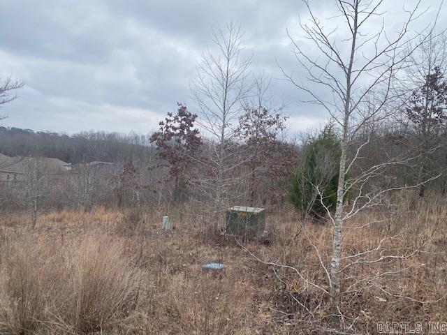 Build your dream home in beautiful Magness Creek! This spacious 0.25-acre lot offers the perfect opportunity for a custom build tailored to your style and needs. Enjoy a peaceful neighborhood setting with easy access to local amenities, schools, and parks. Don’t miss your chance to create something truly special in this sought-after community!