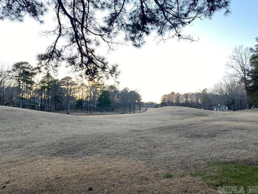 Great GOLF COURSE LOT OFF THE 11th HOLD OF INDIAN HILLS GOLF COURSE. Very nice area close to all the amenities of Fairfield Bay which include 2 golf courses, pro shop, restaurants, pools, parks, marina, ATV/UTV trails, hiking trails, miniature golf, bowling alley and of course GREERS FERRY LAKE.  Build your LAKE HOME and make your lake dreams come true today!!!