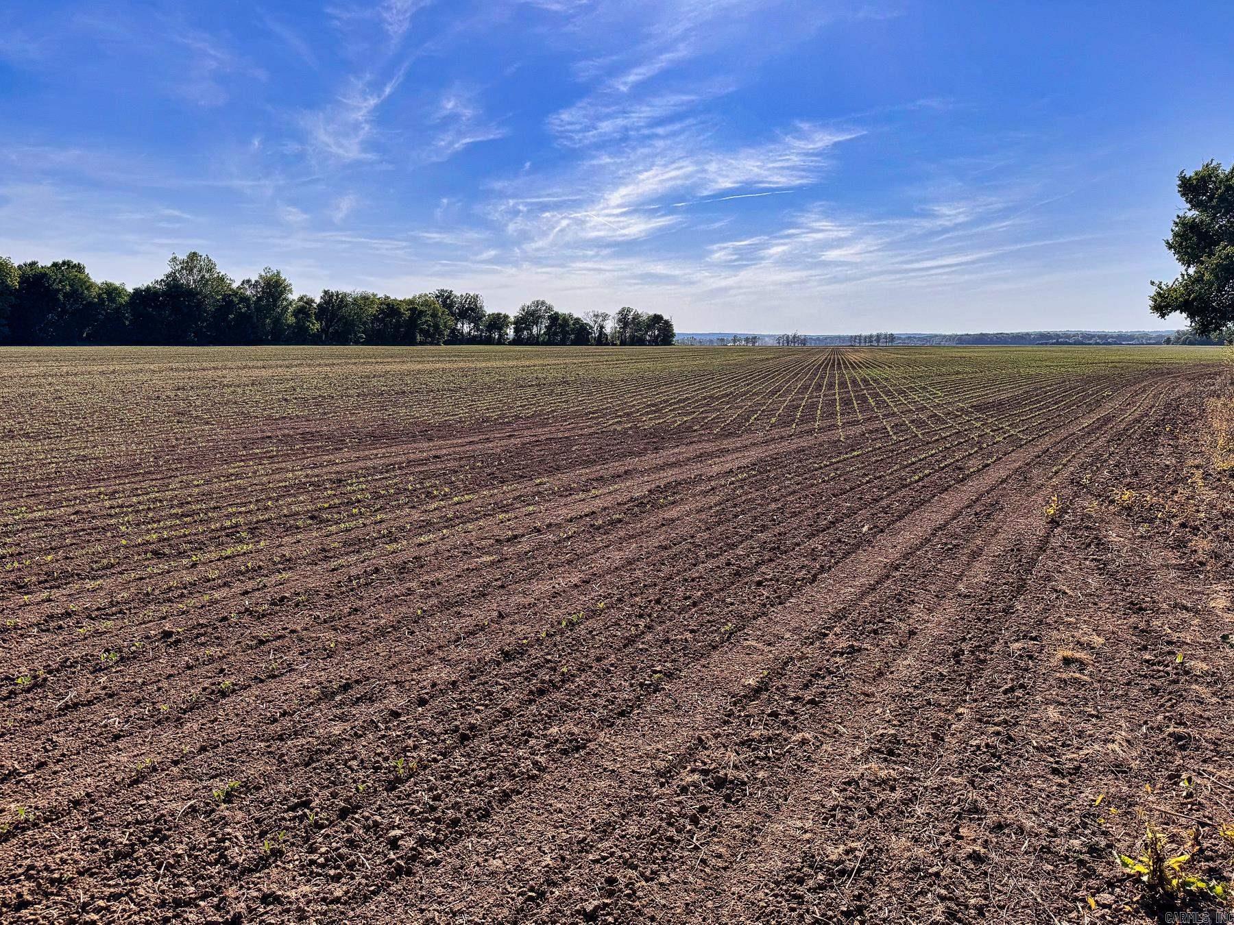 Metes & Bounds - Farm