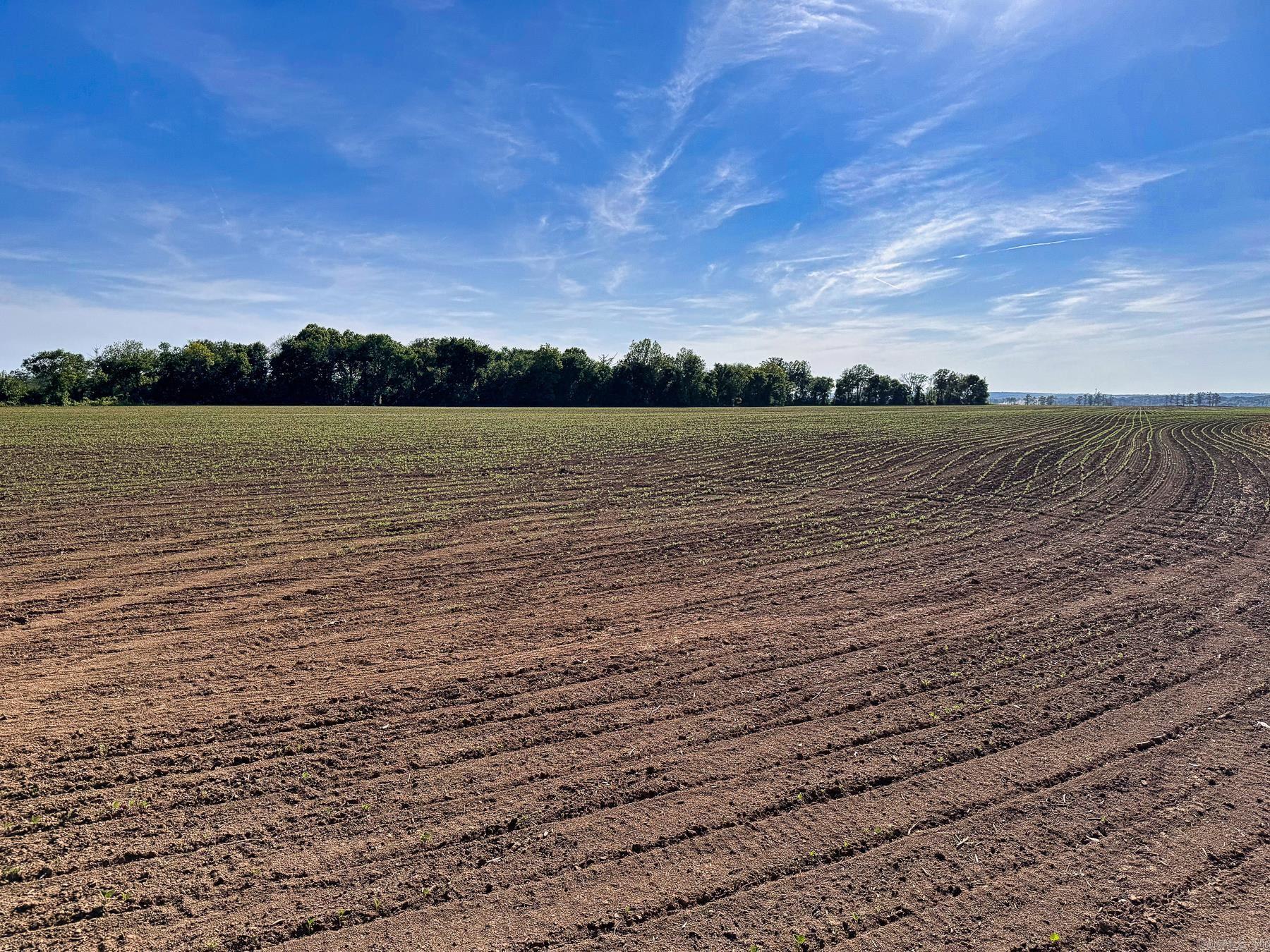 Metes & Bounds - Farm