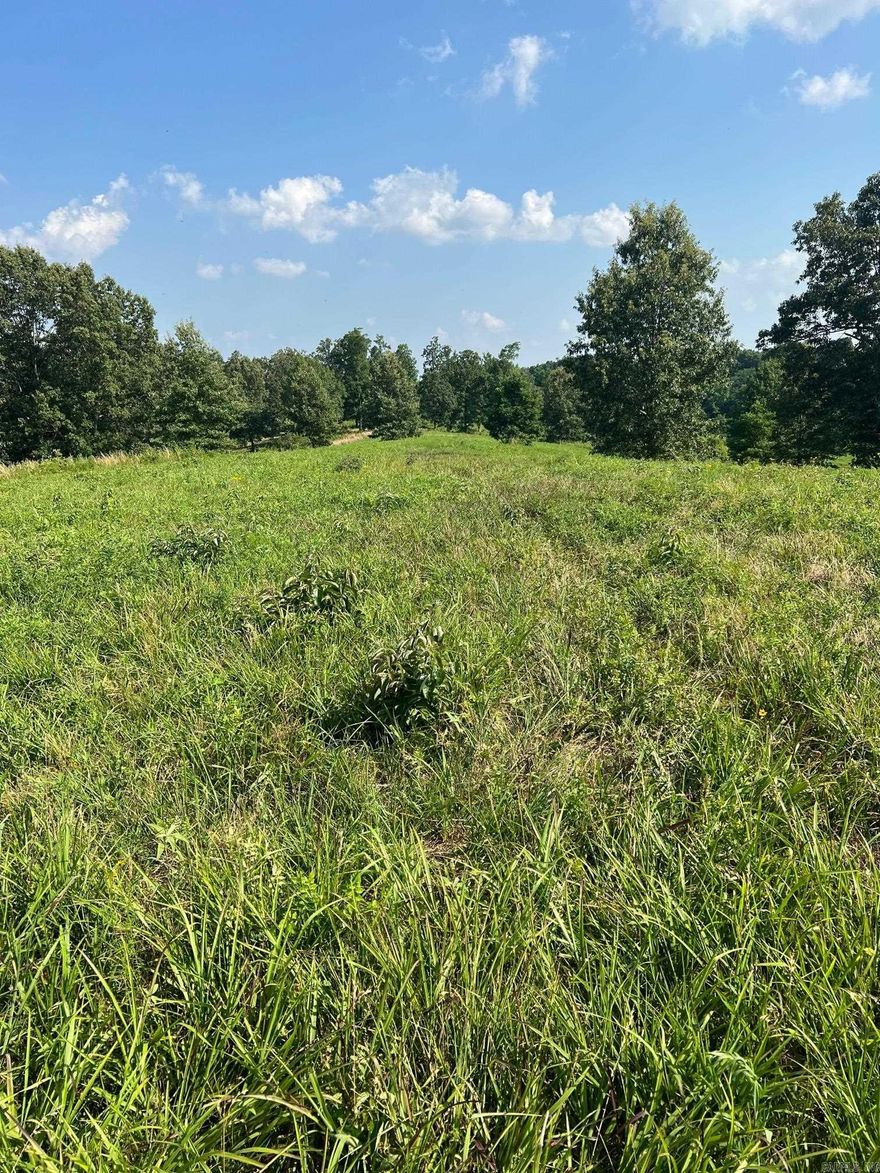 Beautiful rolling acreage in Craighead County on Crowley's Ridge near Westside Schools. This listing includes two lots that must be purchased together. Multiple great homesites, beautiful shade trees and open grassy hills with paved county road frontage.