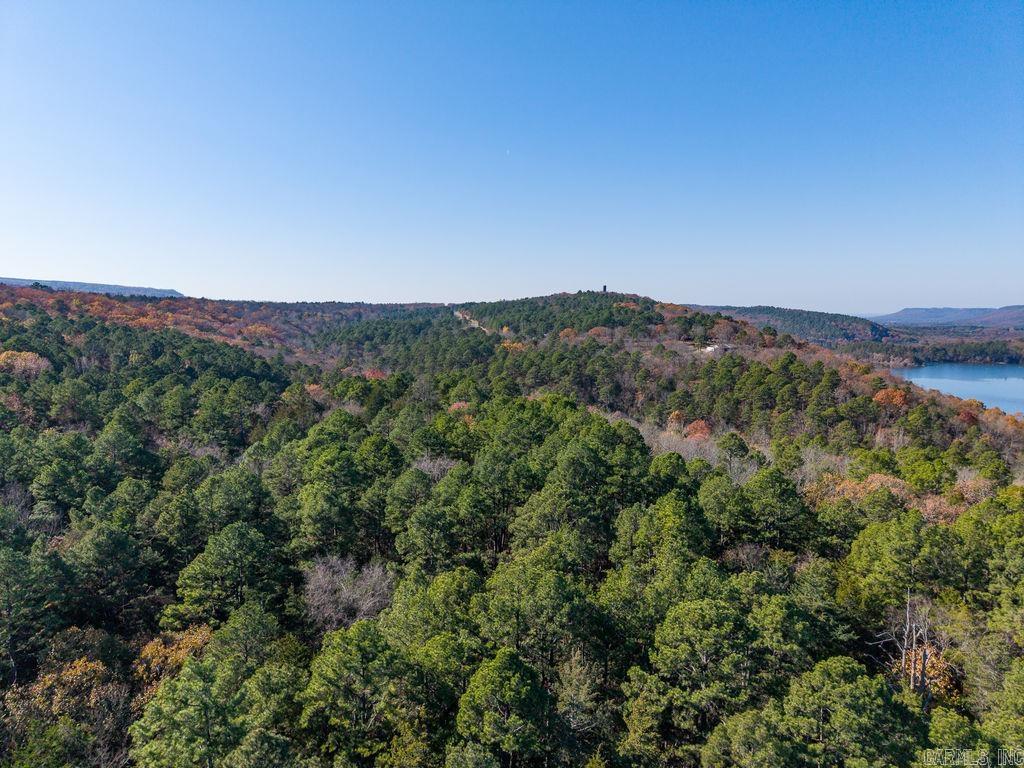 With 157 +/- acres at the foothills of the Ouachitas overlooking Paris City Lake you can't go wrong. Close to the Ouachita National Forest and Mt Magazine State Park. Deer, Turkey, Bear, and plenty small game make it an outdoorsmens dream. Plenty of home sites with a trail that runs through it. The timber is mature and has not been logged in at least 50 years. There are some amenities at the highway. There will be magnificent views of Paris Lake for beautiful sunrises. Somewhere around 700 feet of interior frontage on Short Mountain Creek just before it flows into Paris Lake making for some great fishing. This is a wonderful property that should make someone very happy. parcels: 100-06343-000,100-06340-000,100-06342-000,100-06558-000