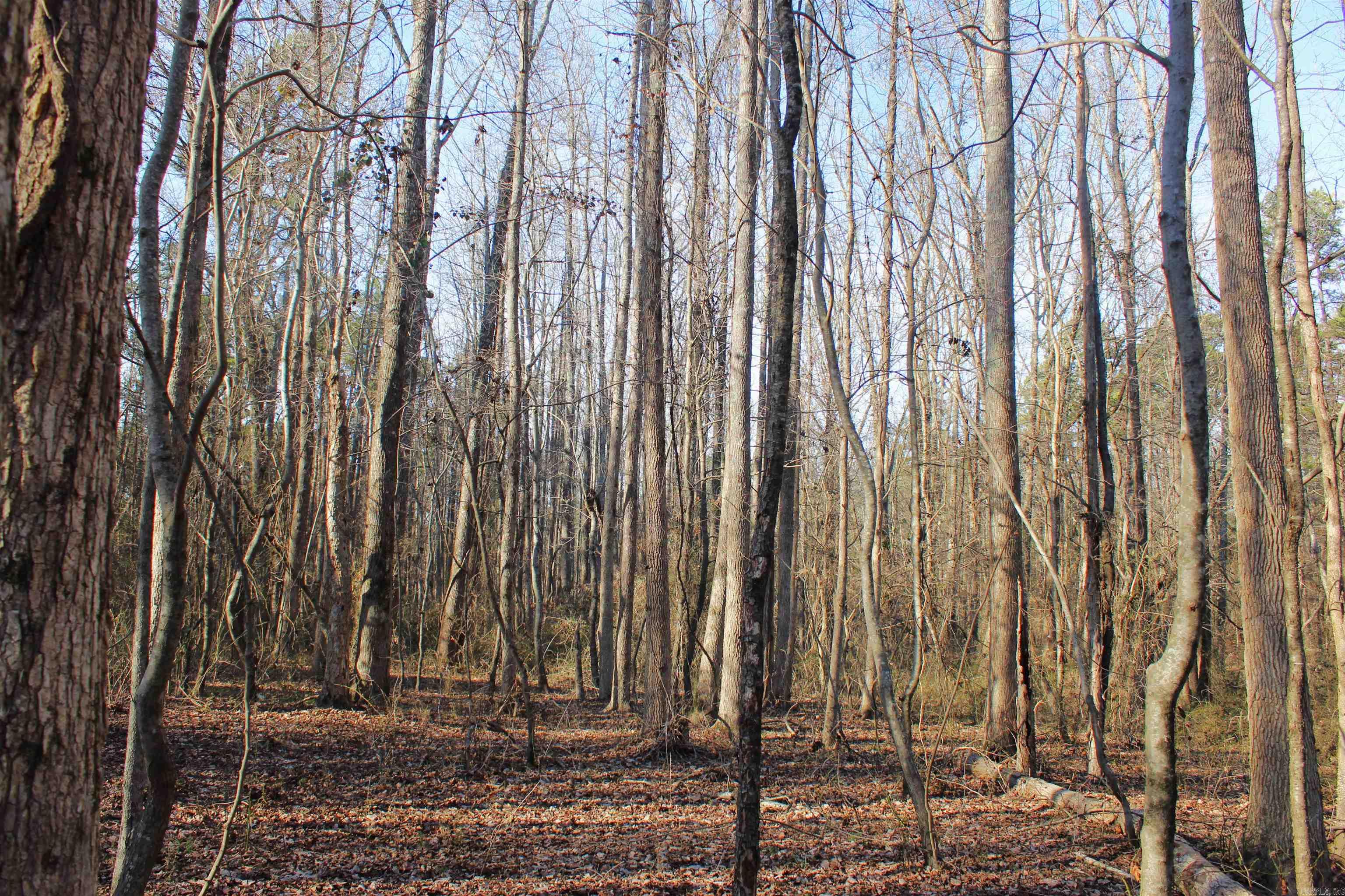 Metes & Bounds - Land