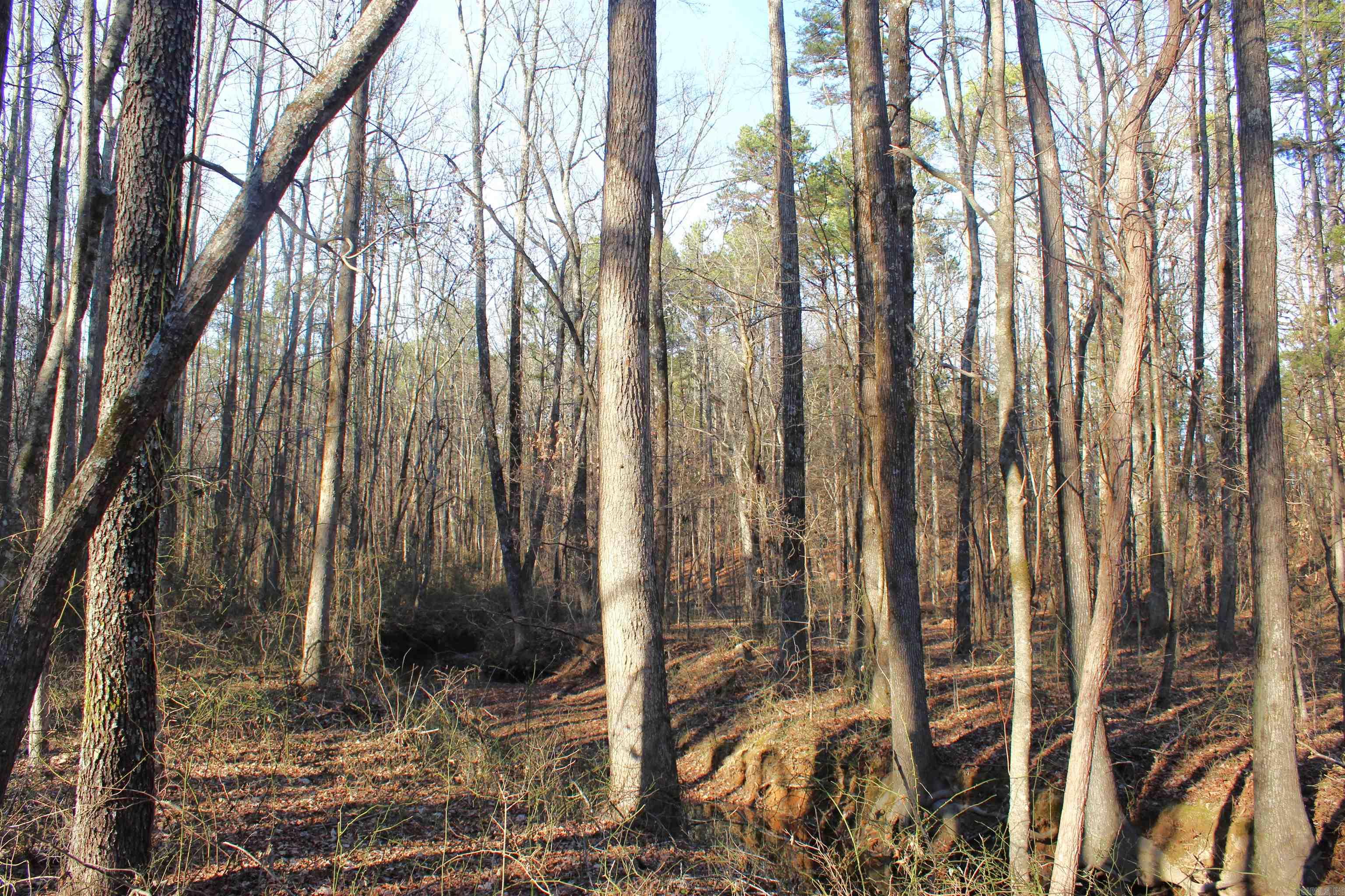 Metes & Bounds - Land