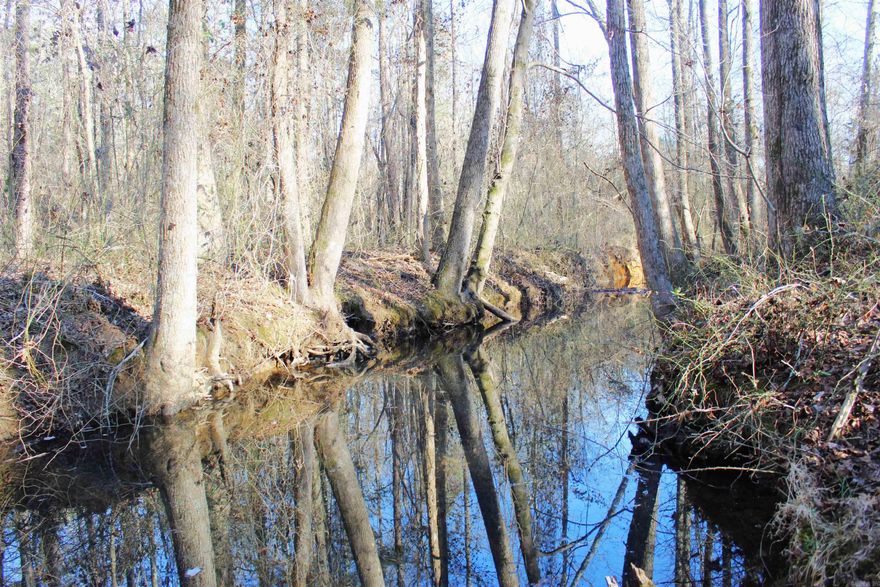 Beautiful, wooded 20 acres located in between Quitman and Heber Springs.  Has a nice creek on it and not far from Greers Ferry Lake.  Great place for building your dream home or to use recreationally.