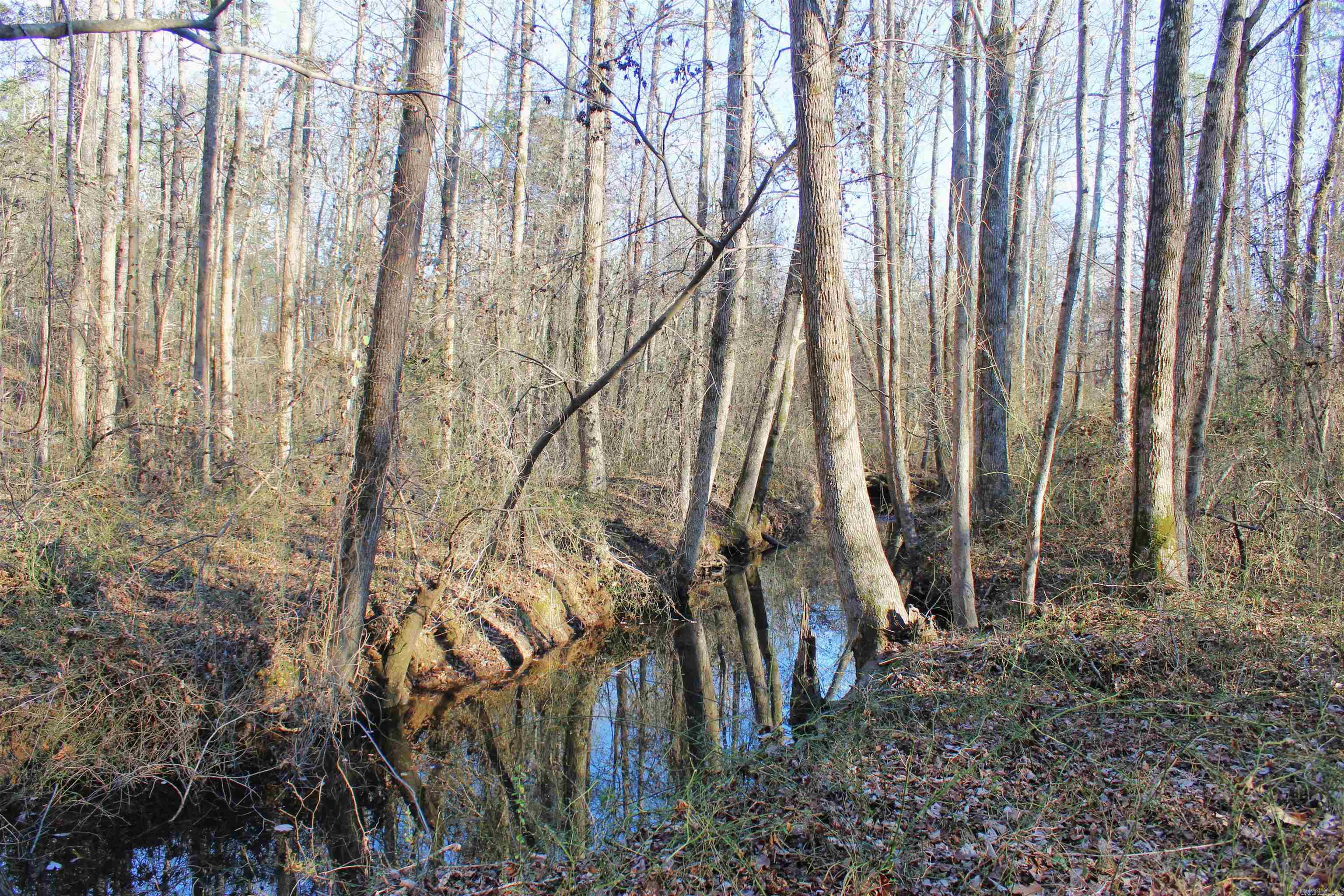 Metes & Bounds - Land