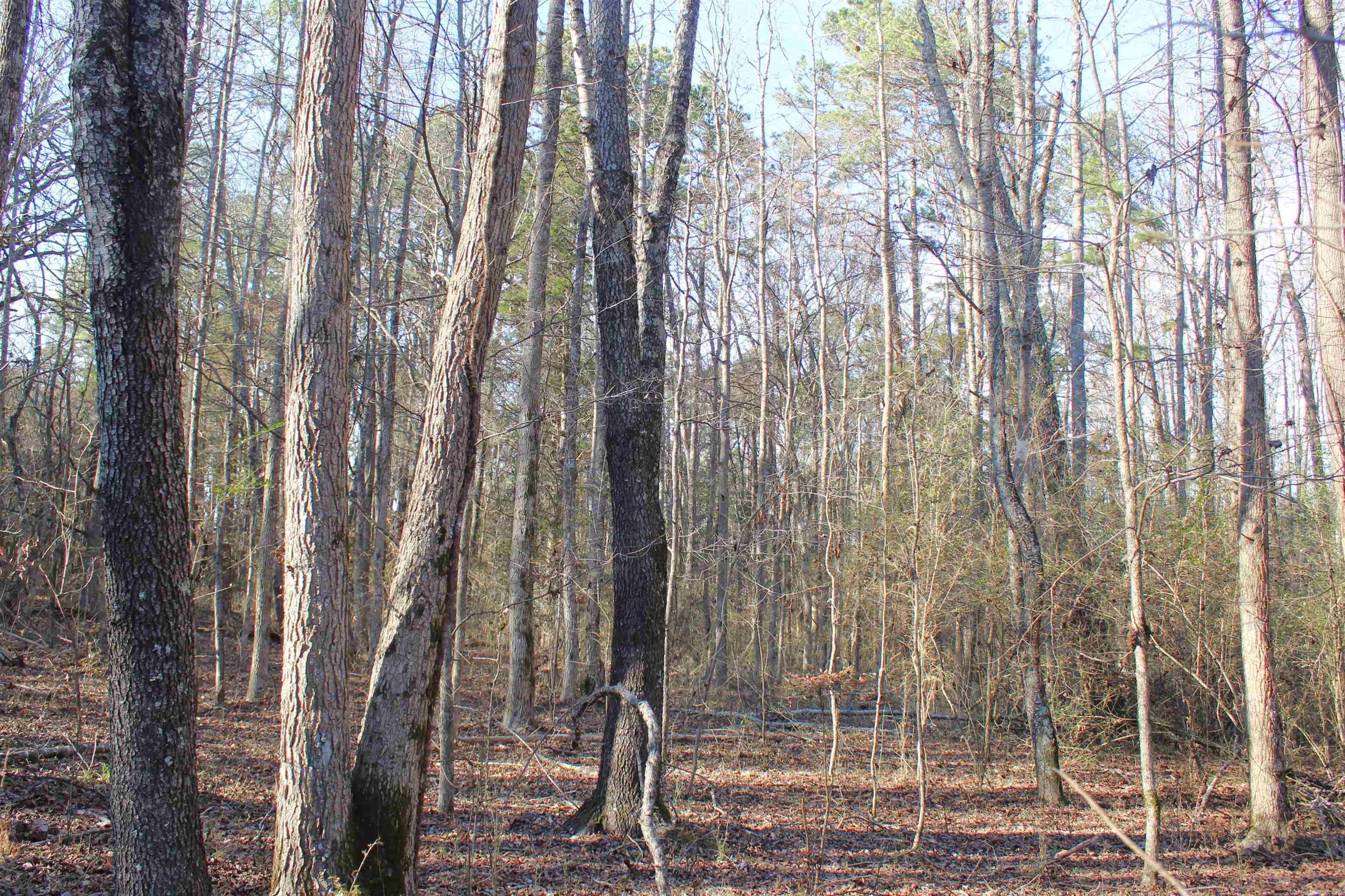 Metes & Bounds - Land