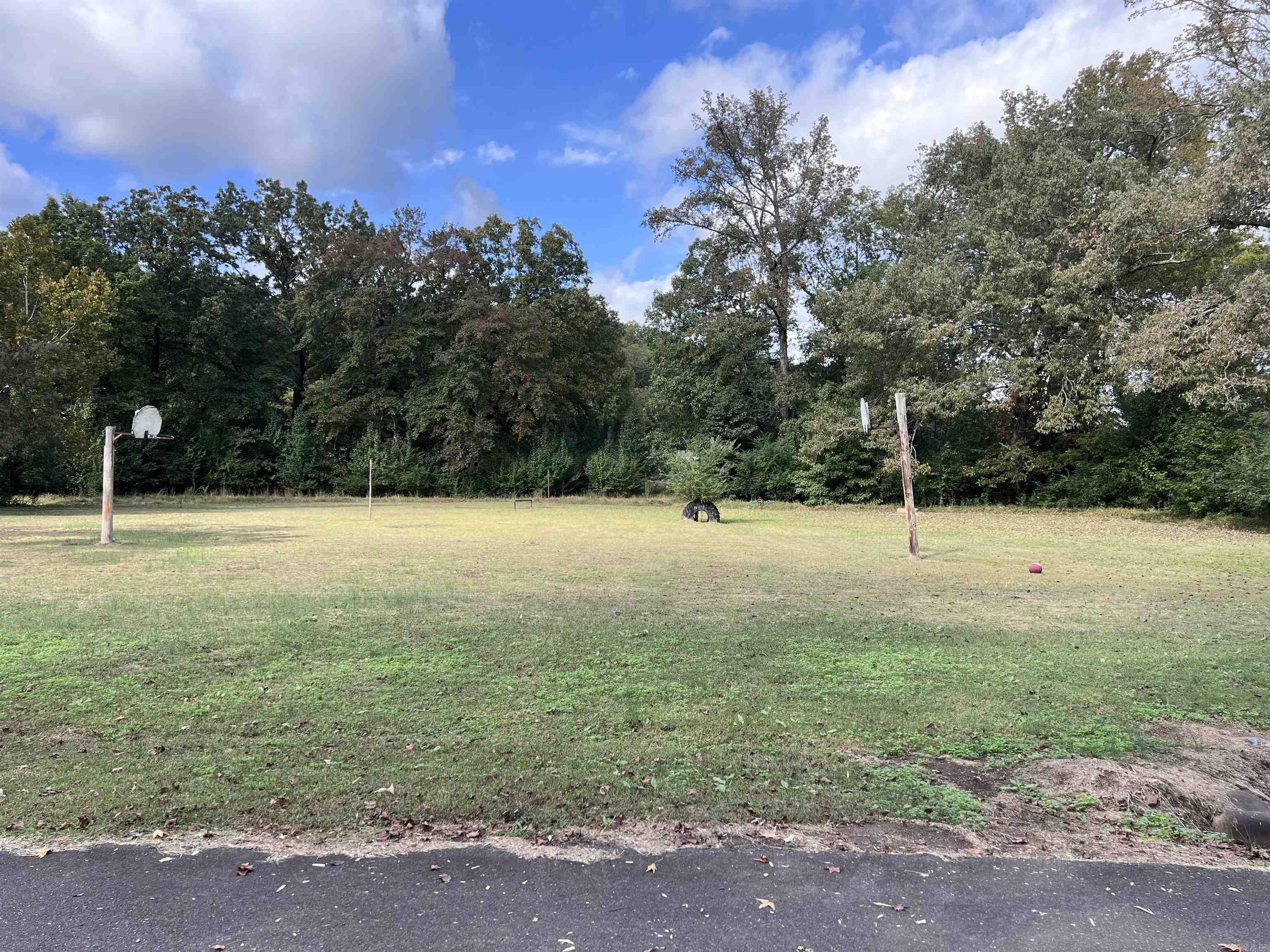 Mountain Pine - Land