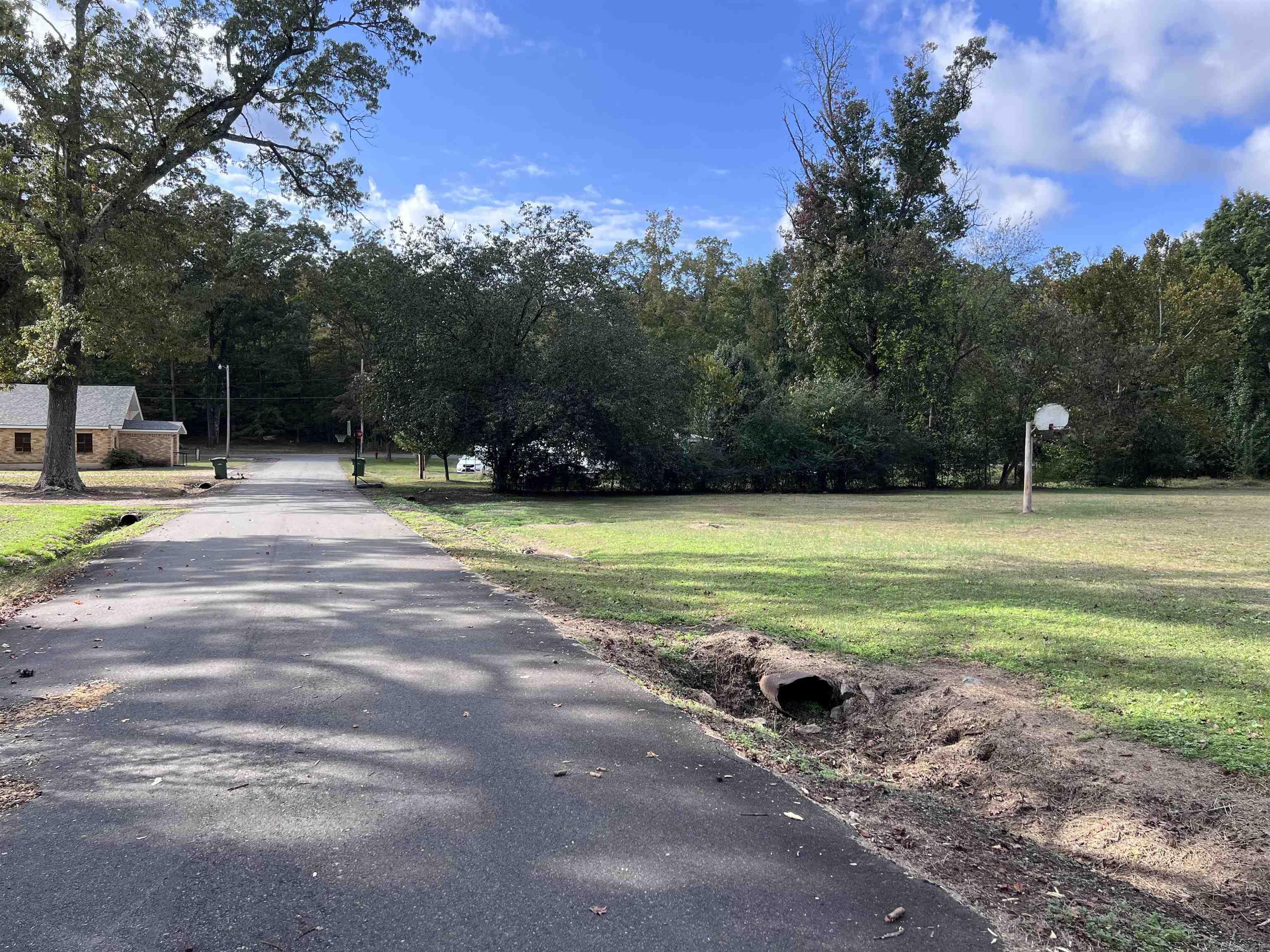 Mountain Pine - Land