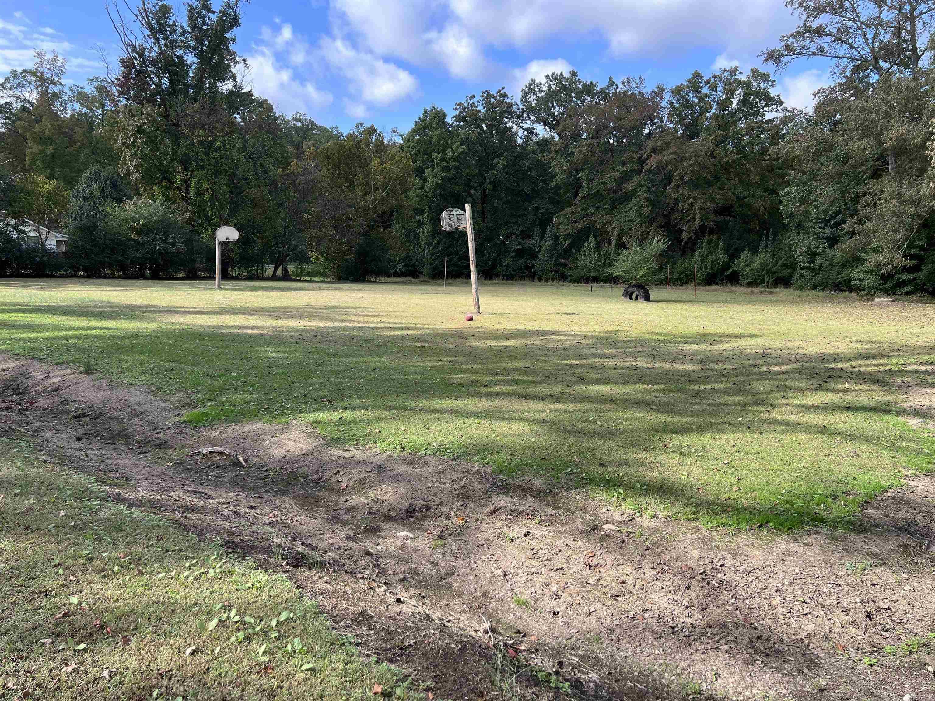 Mountain Pine - Land